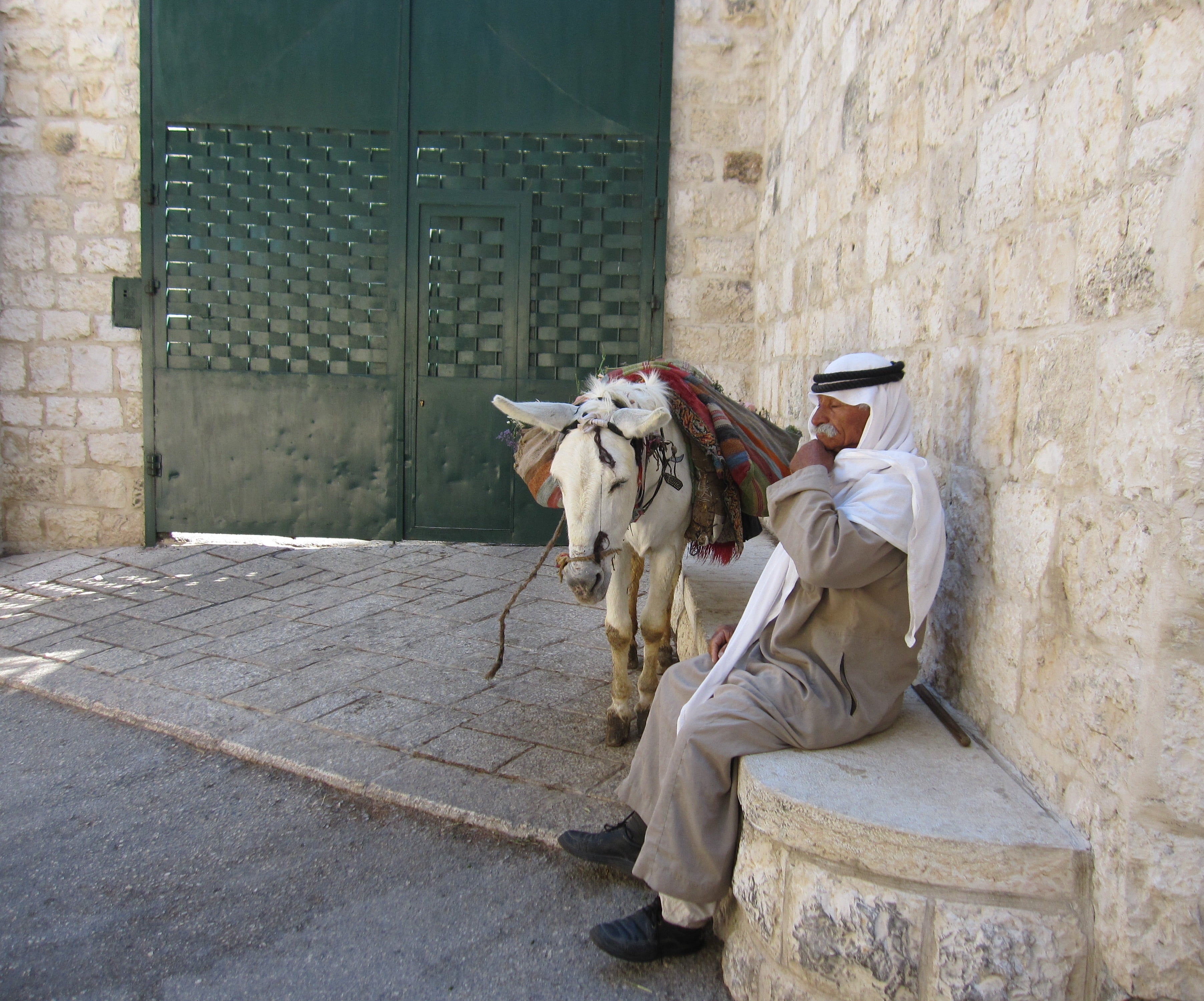 working animal, bench, israel, men, one animal, 2K, mammal, human, beside, architecture, real people, wall - building feature, herbivorous, horse, donkey, HD Wallpaper