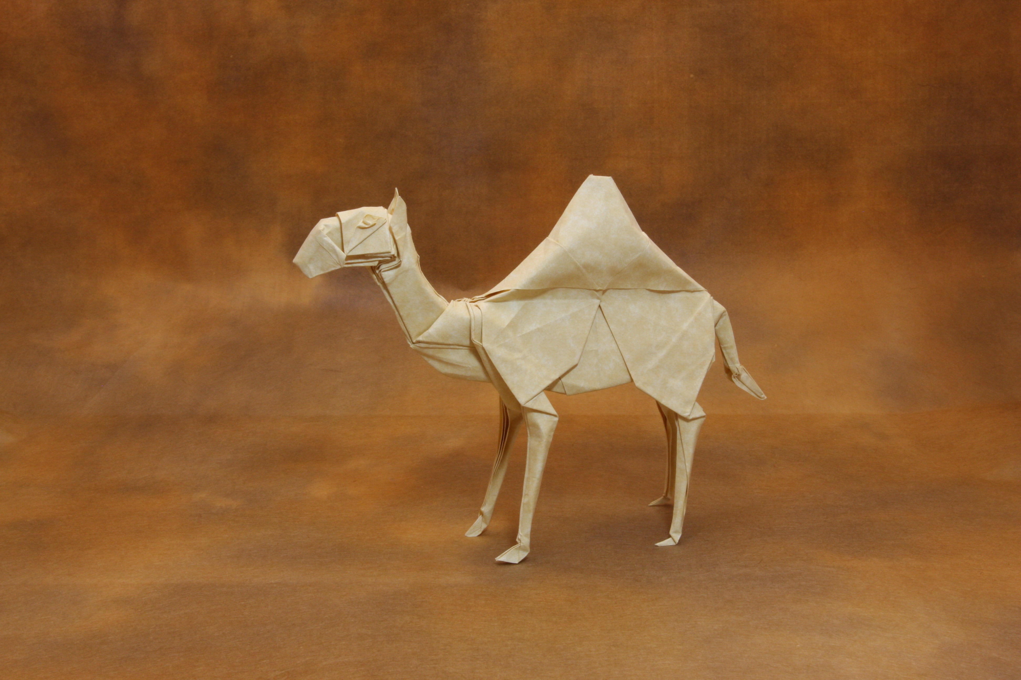 Dromedary Camel, 4K, origami, paper, HD Wallpaper