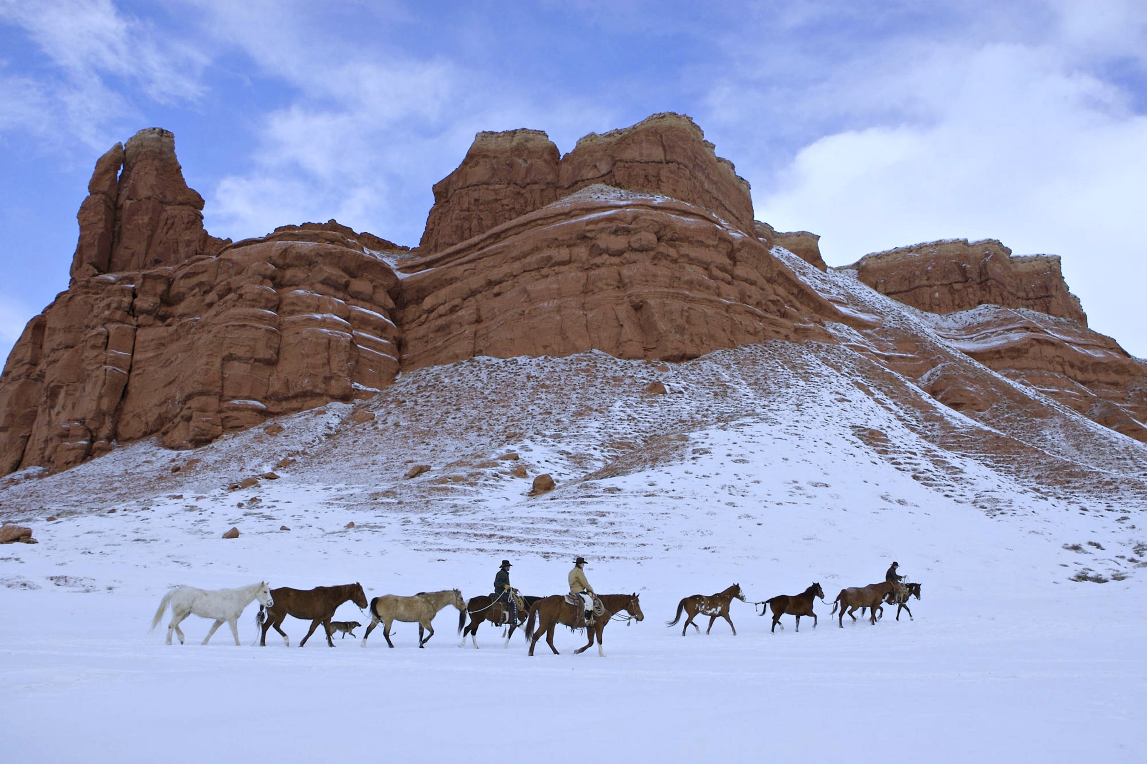 concrete, snow, rock, mammal, scenics - nature, beauty in nature, brown, animal wildlife, group of animals, herbivorous, animal, sky, non-urban scene, white, HD Wallpaper