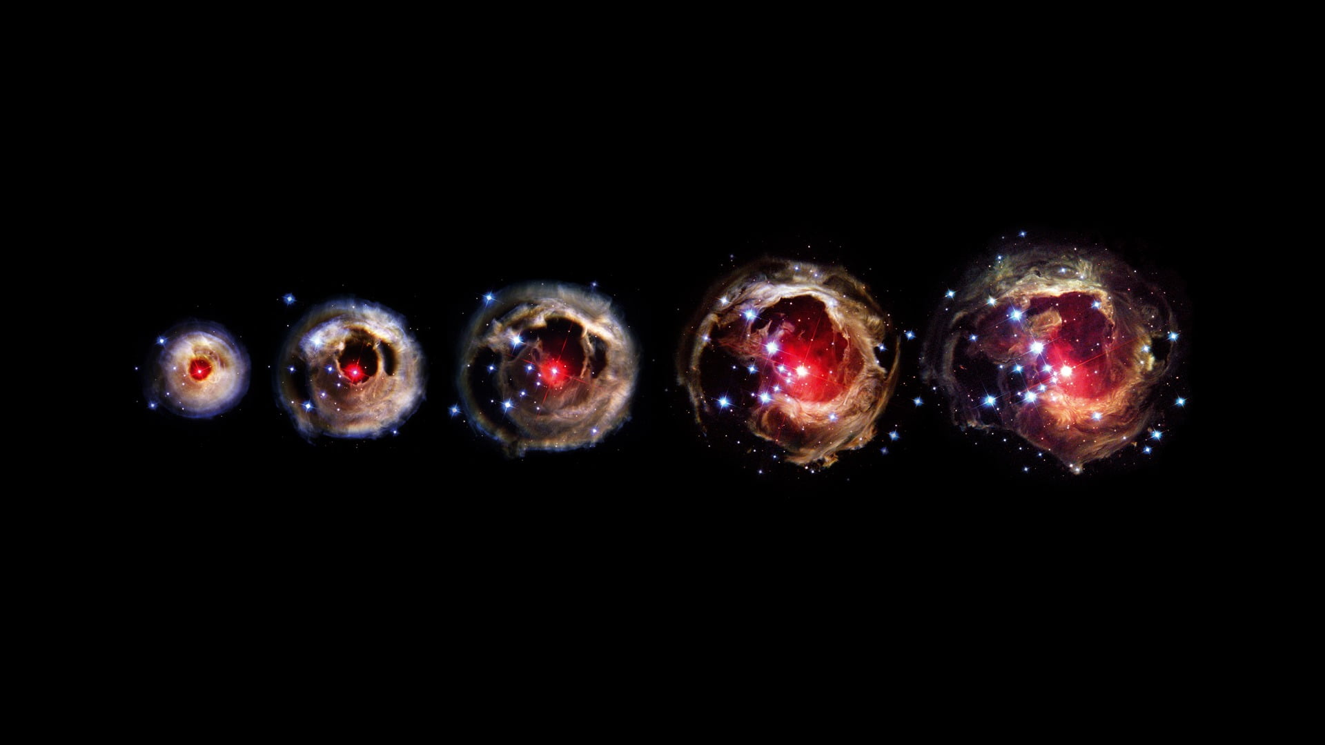 animal, digital, still life, fruit, black background, food and drink, order, group of objects, stars, space, close-up, planets, medium group of objects, HD Wallpaper