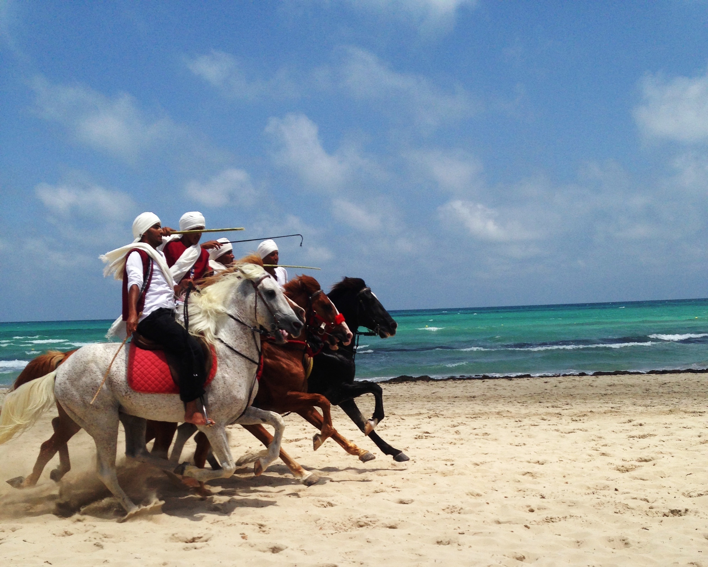 summer, domestic, cloud - sky, sand, sky, group, domestic animals, day, beside, water, cultures, sandy, beach, land, djerba, ocean, people, outdoors, tourism, HD Wallpaper