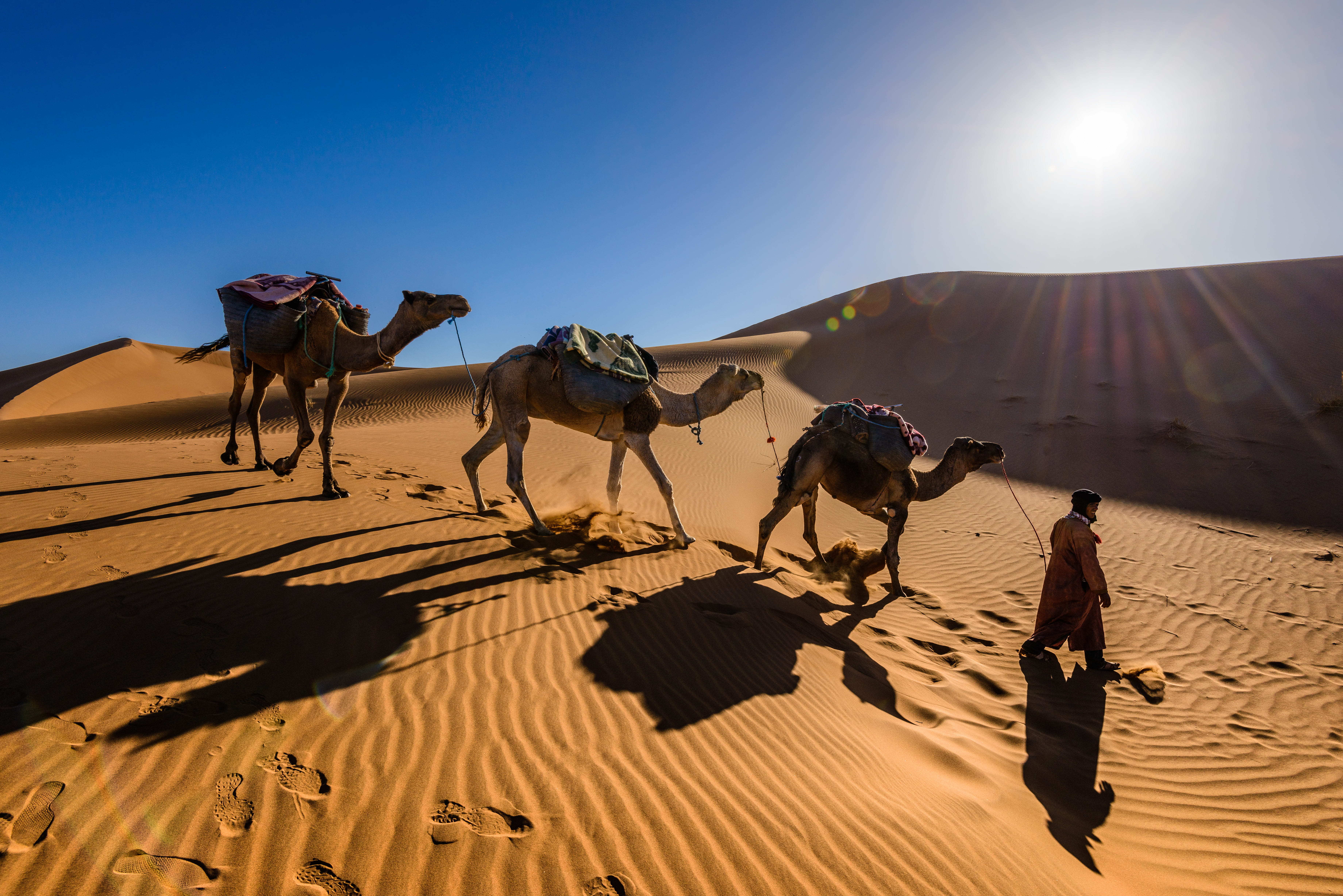 pets, sky, travel, sand, nature, group of animals, camels, camel, daytime, arid climate, desert, outdoors, climate, animal, sunset, dessert, sunny, walking, HD Wallpaper