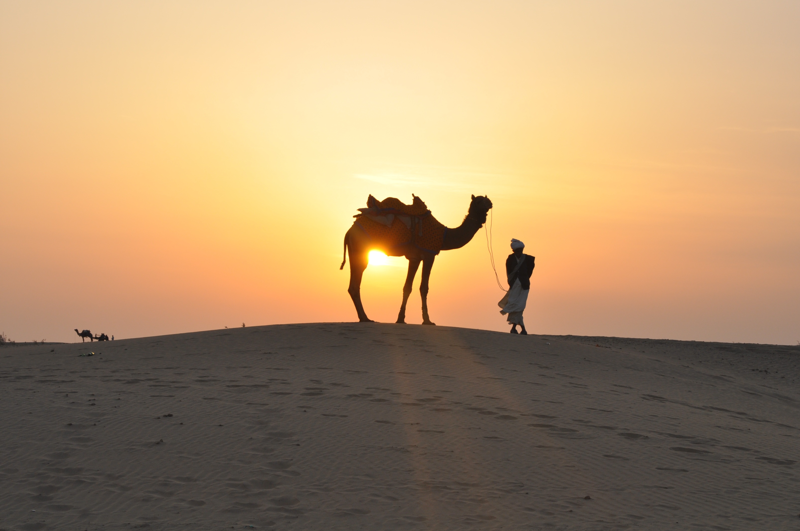 holding, adult, beauty in nature, beach, man, hour, orange color, sand Dune, lifestyles, 2K, nature, sand, silhouette, mammal, domestic animals, golden, HD Wallpaper