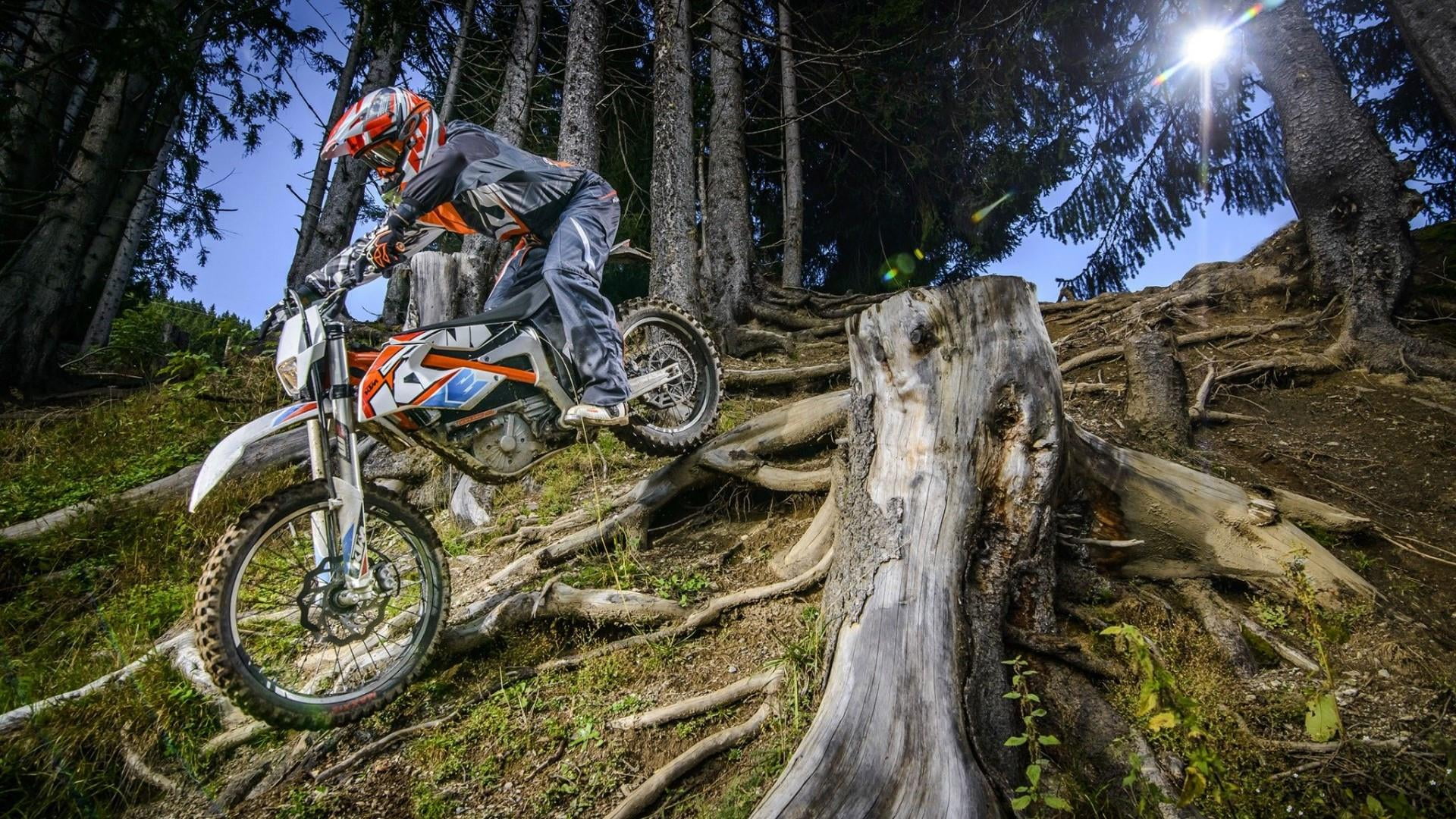 field, forest, tree trunk, mountain bike, trunk, helmet, sport, wheel, motorcycle, mode of transportation, land, day, nature, plant, extreme sports, 1080P, HD Wallpaper