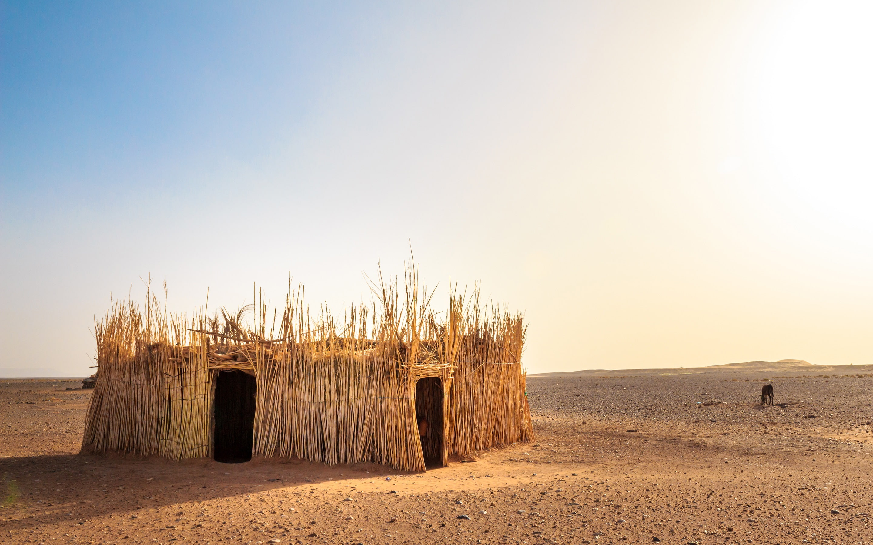 Morocco, 2K, Hot, Western, Desert, Sahara, Reeds, Hut, Sun, HD Wallpaper