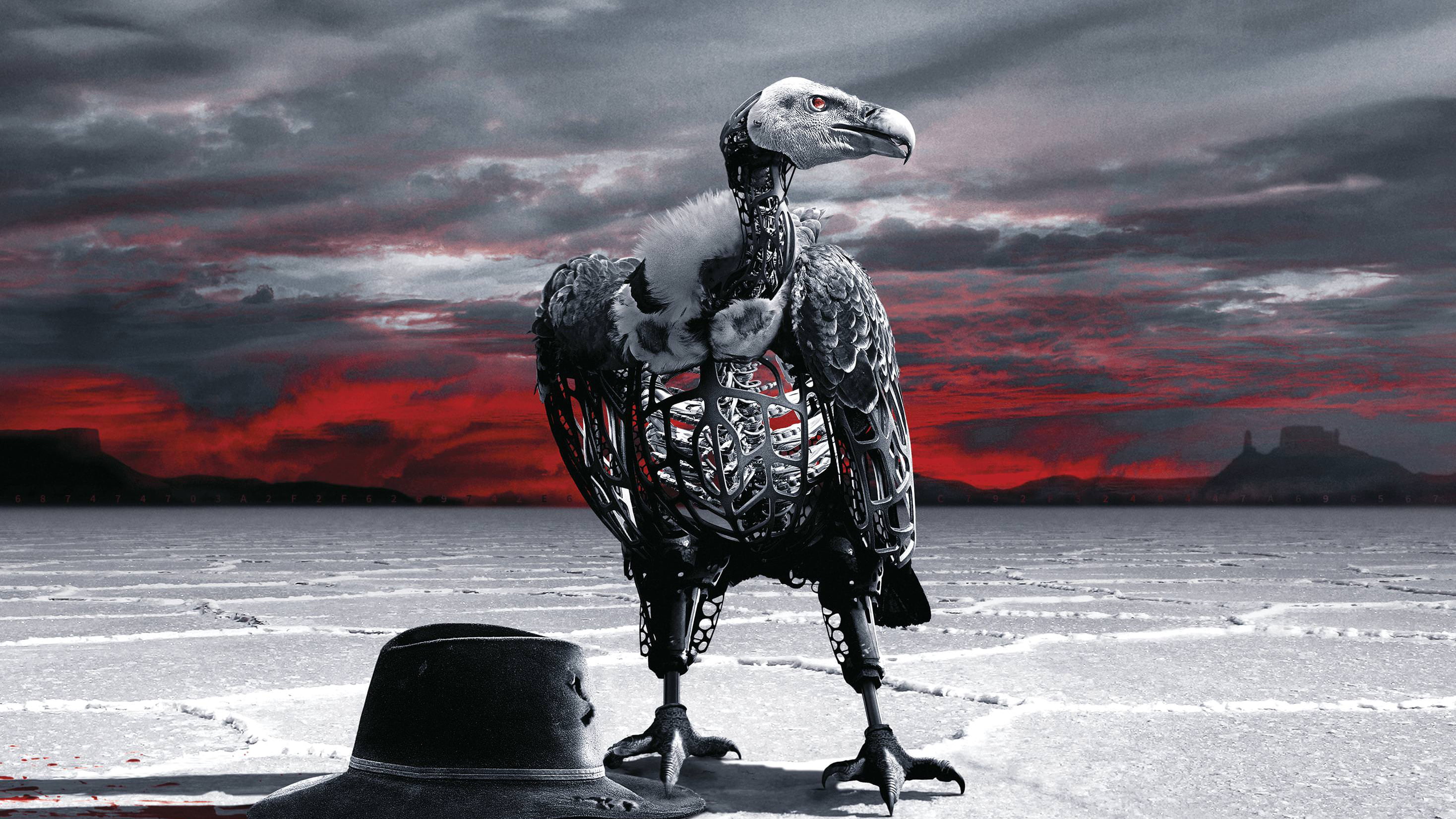 westworld, sky, beauty in nature, animal wildlife, 2K, bird, sea, outdoors, animal body part, vertebrate, one animal, nature, animals in the wild, poster, HD Wallpaper