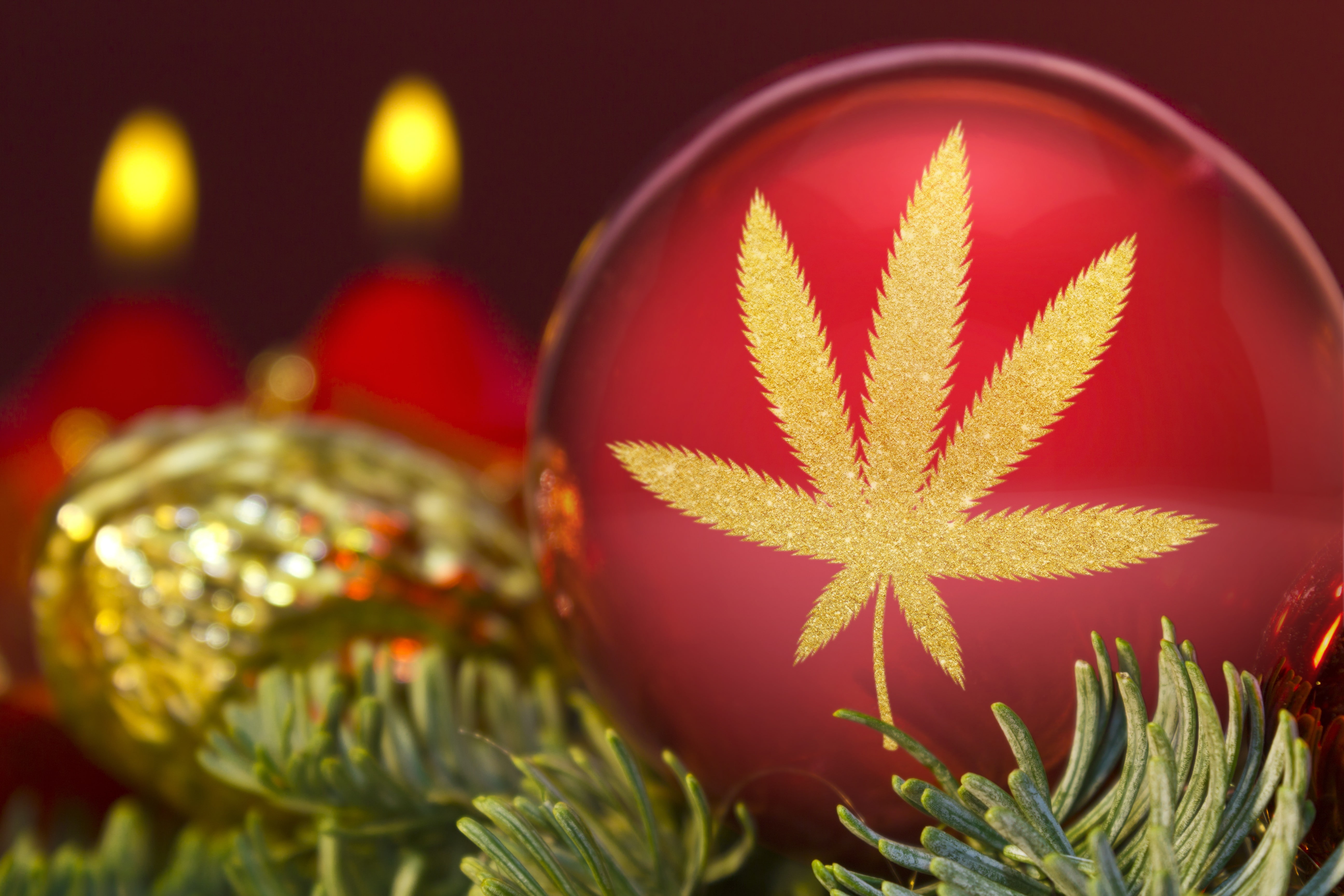 5K, christmas, marijuana, season, cannabis, holiday, noel, weed, 420, festival, drugs, HD Wallpaper