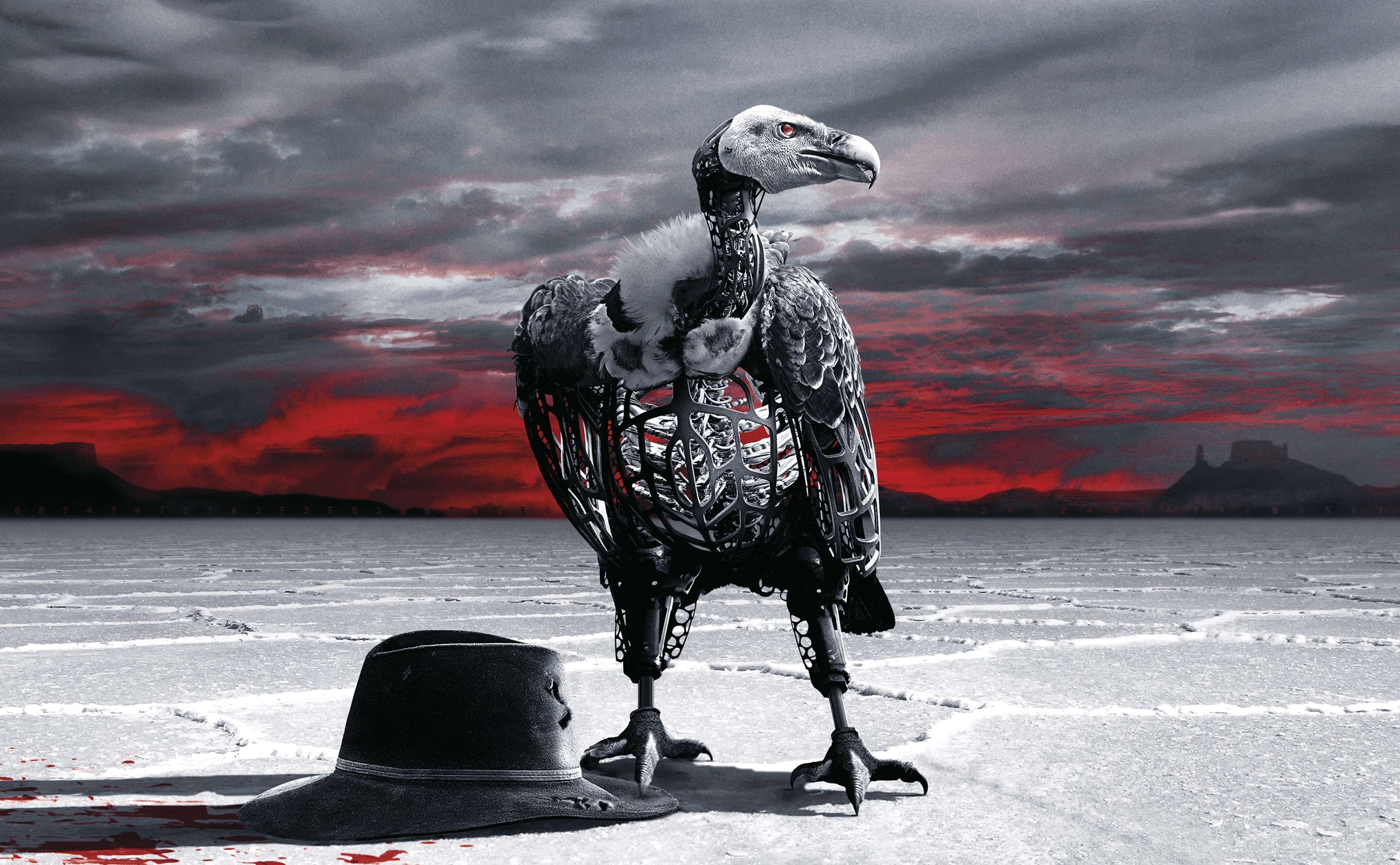 water, Eagle, animal wildlife, sciencefiction, hbo, nature, sunset, Season2, robots, Movies, series, scenics - nature, tv, sky, animal themes, vertebrate, HD Wallpaper