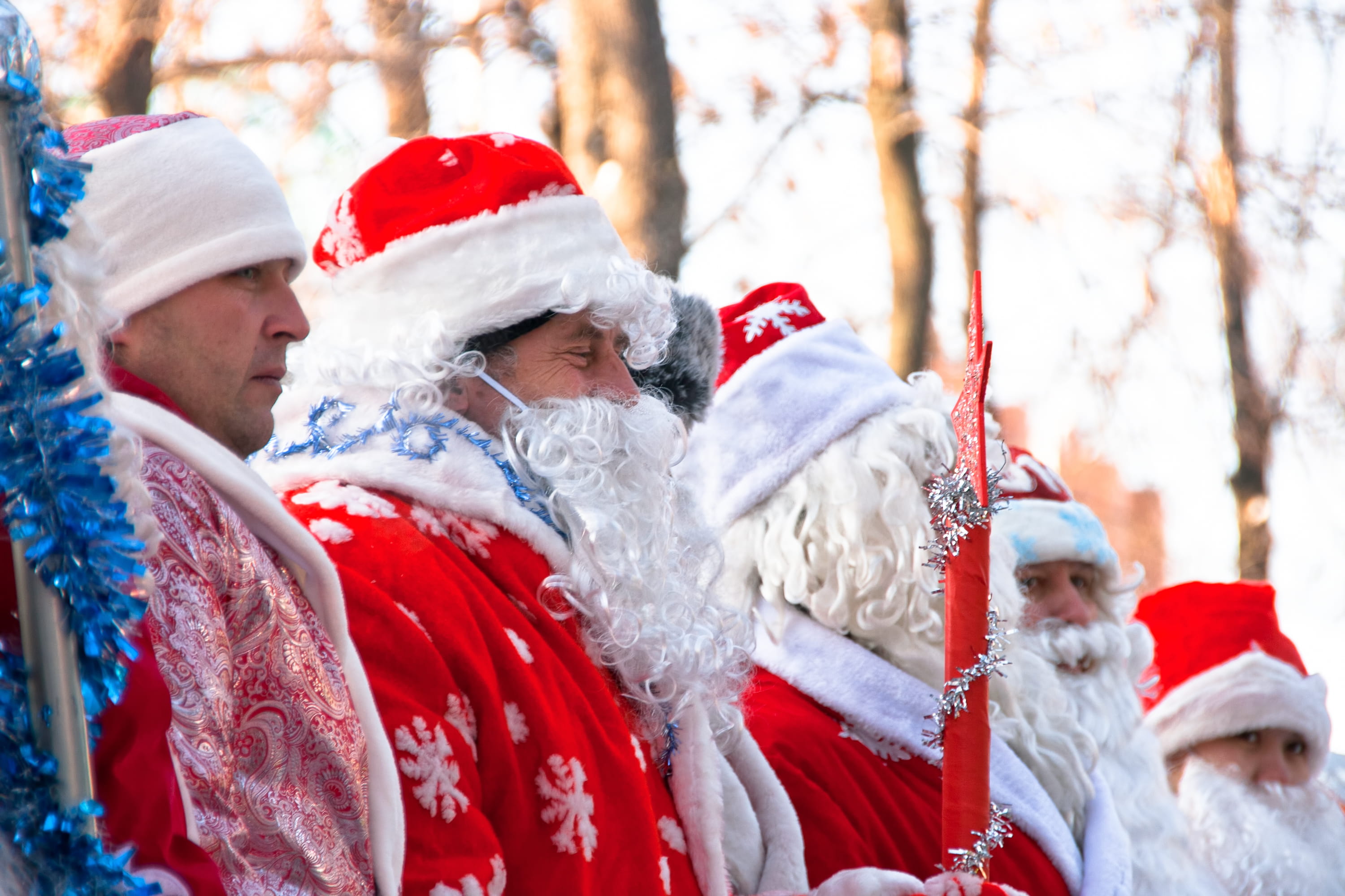 cold temperature, tree, santa hat, snow, group, december, winter, men, warm clothing, santa, xmas, frost, 2K, holiday - event, red, nose, adult, hat, clothing, HD Wallpaper