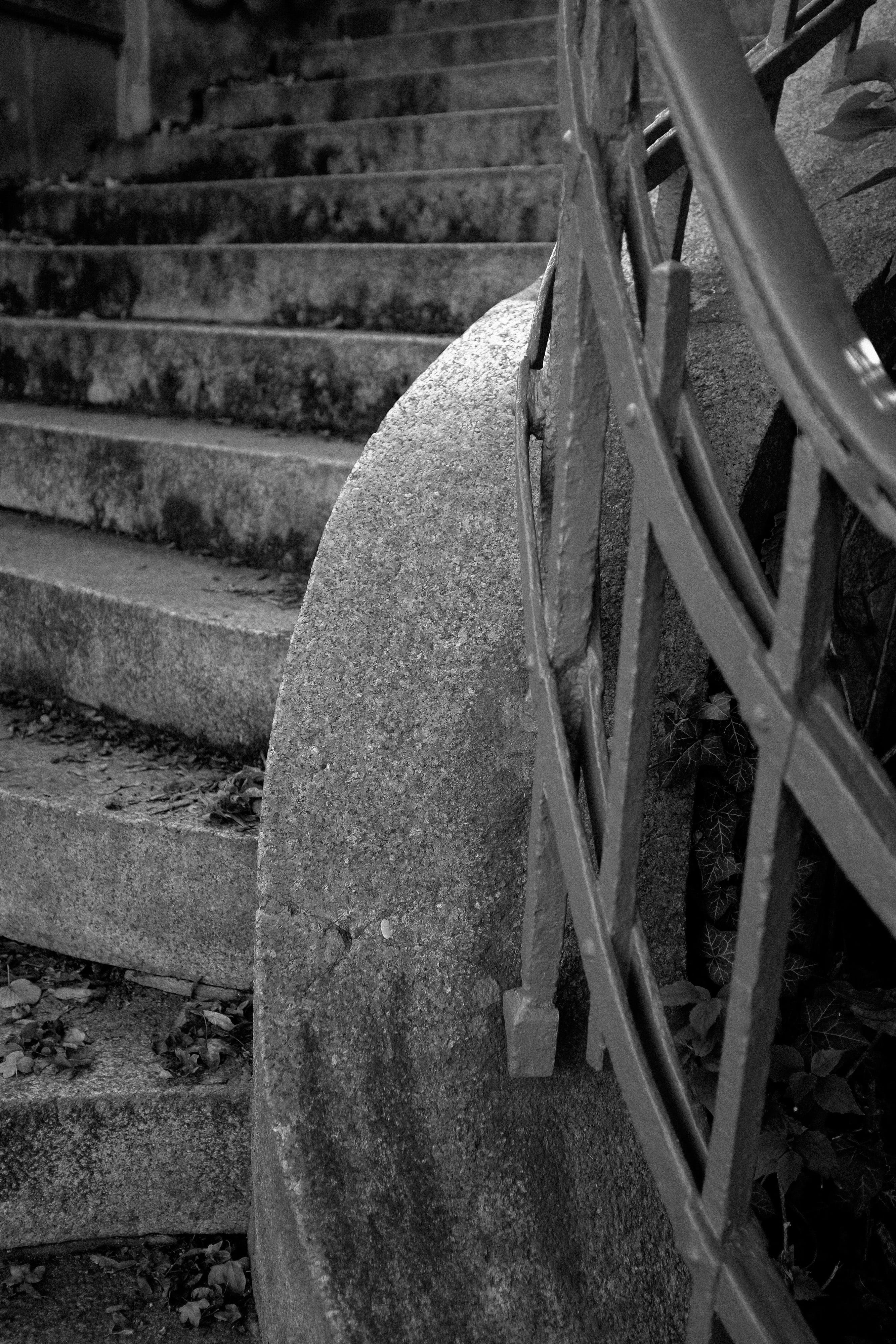 day, avenue, way, staircase, motion, transportation, autumn, wheel, circle, passing, pattern, fall, season, sunlight, no people, wood - material, land, Phone HD Wallpaper