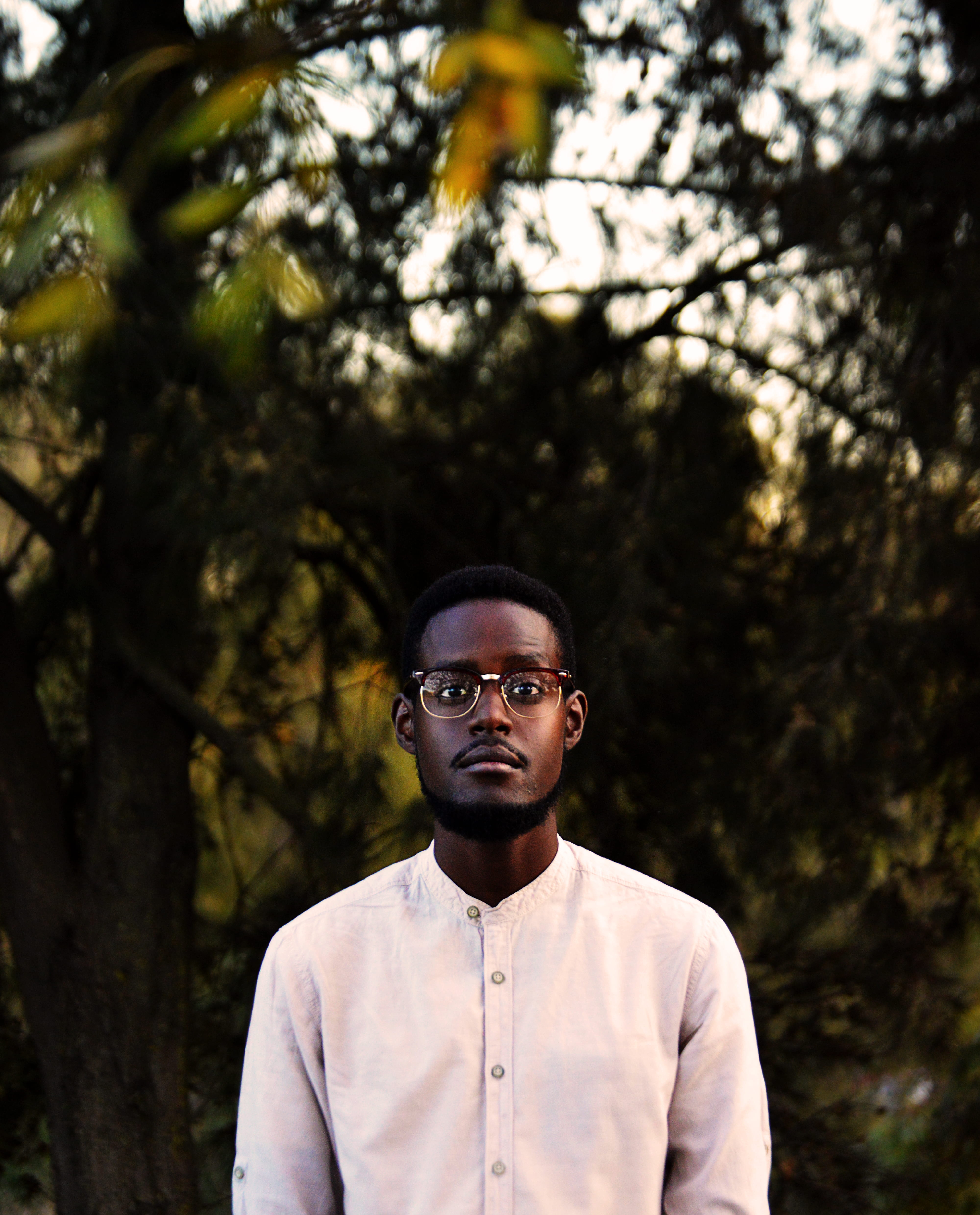 focus, shirt, teenage boys, man, plant, day, nature, young adult, button, white, male, adolescence, forest, casual clothing, tree, sleeved, looking at camera, Phone HD Wallpaper