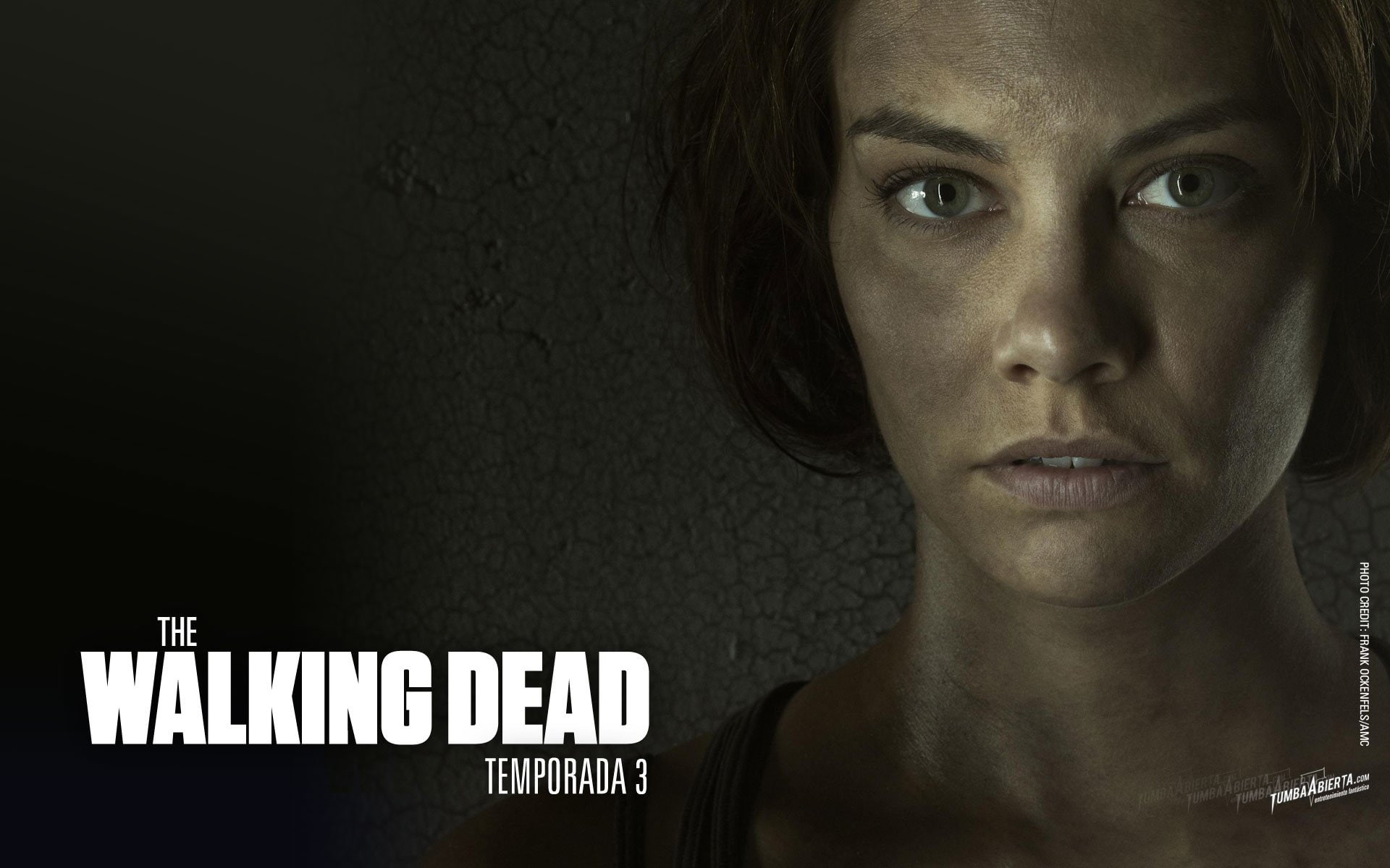 Lauren Cohan, The Walking Dead, 1080P, Maggie Greene, TV Show, HD Wallpaper