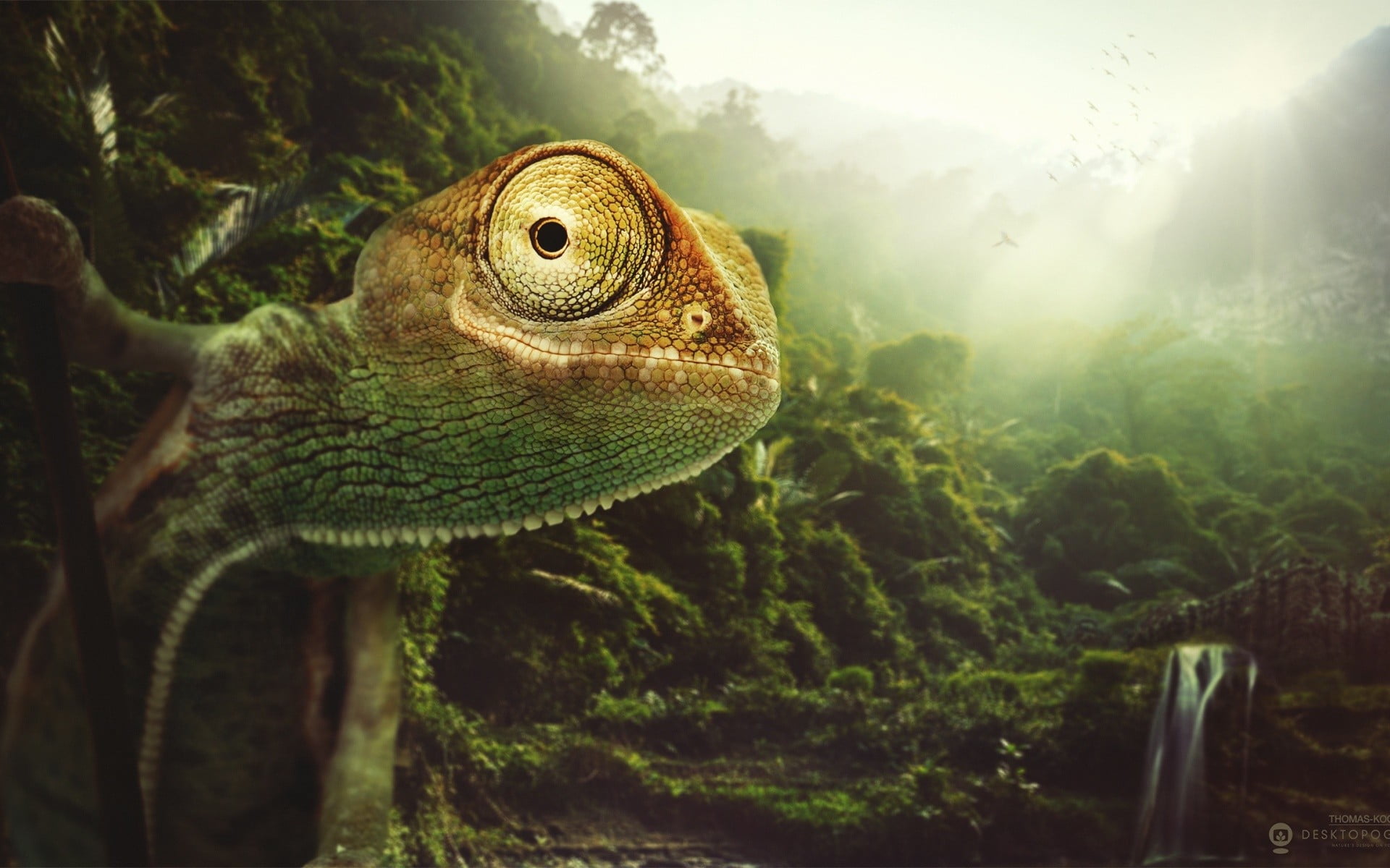 green, looking away, animals, animal, tree, plant, brown, outdoors, animal themes, artwork, reptile, no people, close-up, looking, green color, iguana, HD Wallpaper