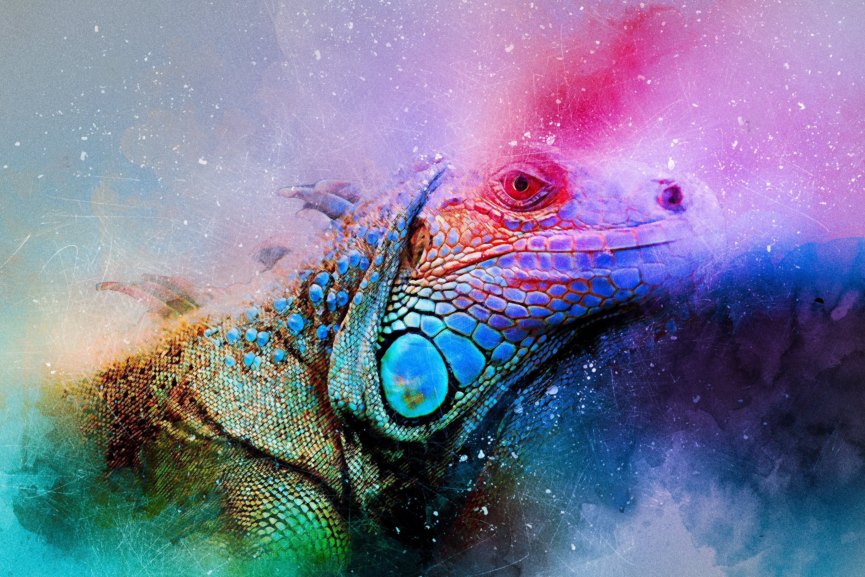 reptile, iguana, colorful, water, sea, swimming, no people, undersea, one animal, animal wildlife, multi Colored, animal body part, marine, tropical Climate, HD Wallpaper