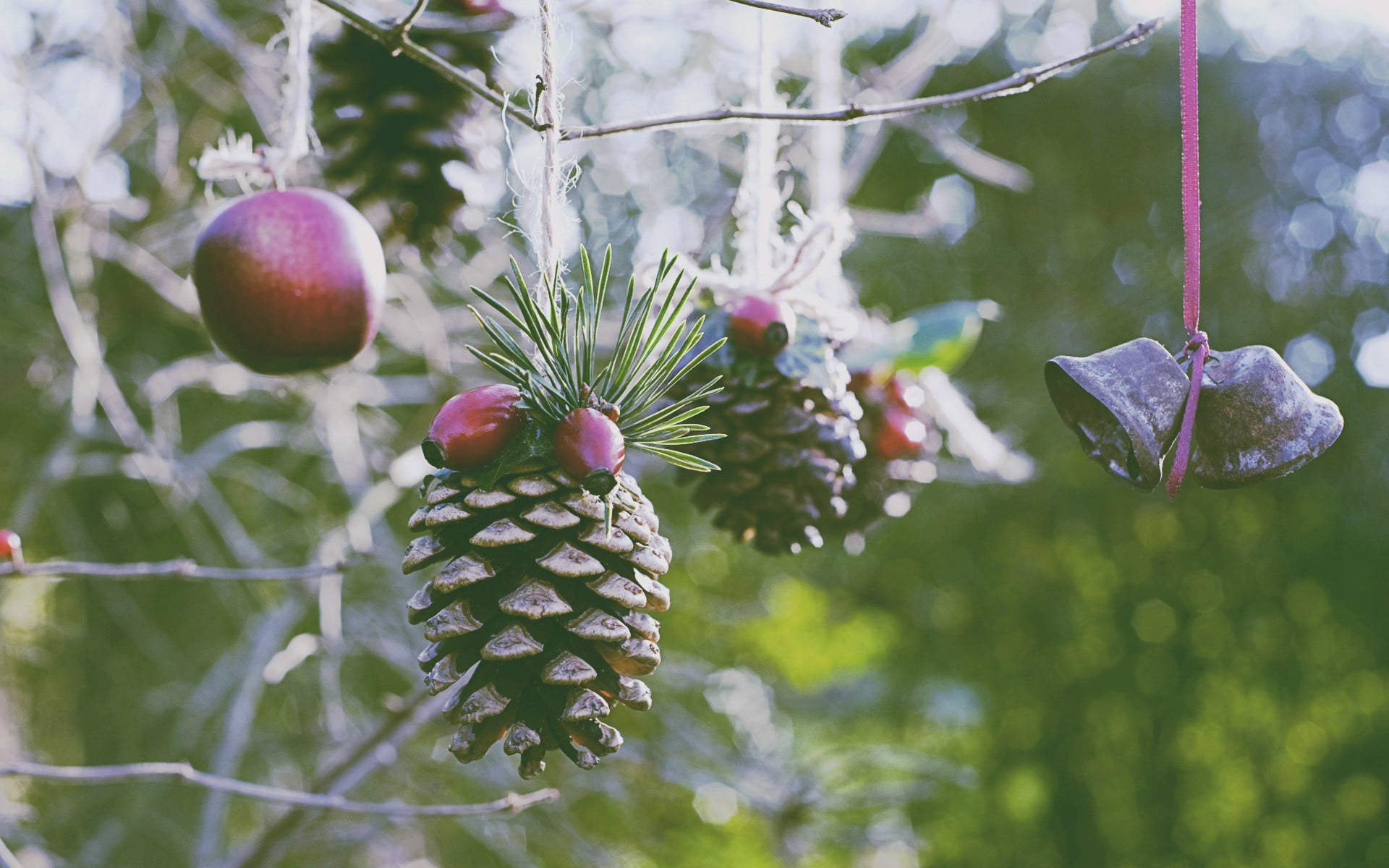 focus on foreground, brown, green color, fruit, day, plant part, decor, pinecone, wellbeing, 1080P, ripe, branch, freshness, food, leaf, healthy eating, HD Wallpaper