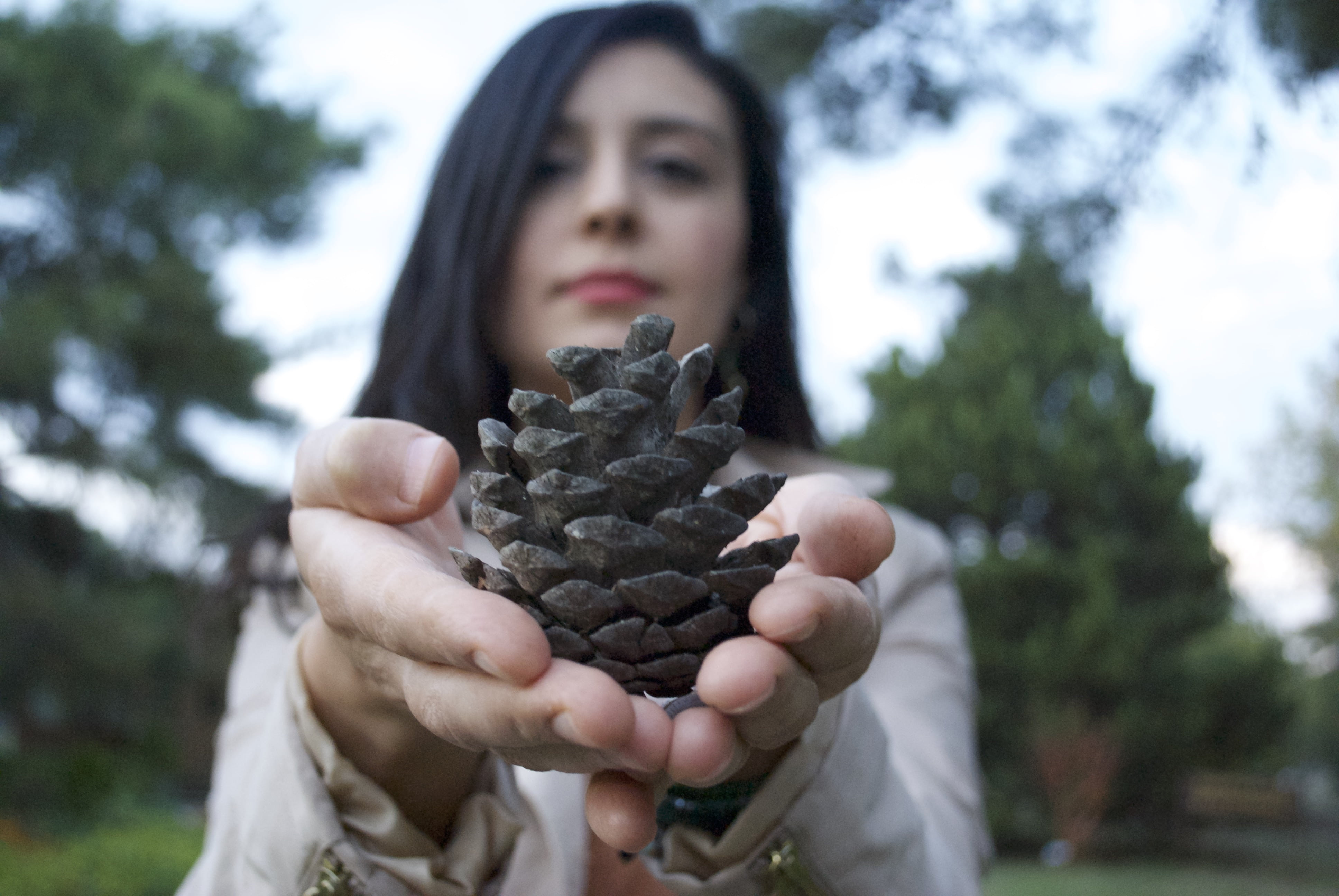 woman, adult, portrait, 4K, outdoors, plant, fir cone, headshot, human hand, hands cupped, tree, fruit, person, human body part, pinecone, front view, HD Wallpaper