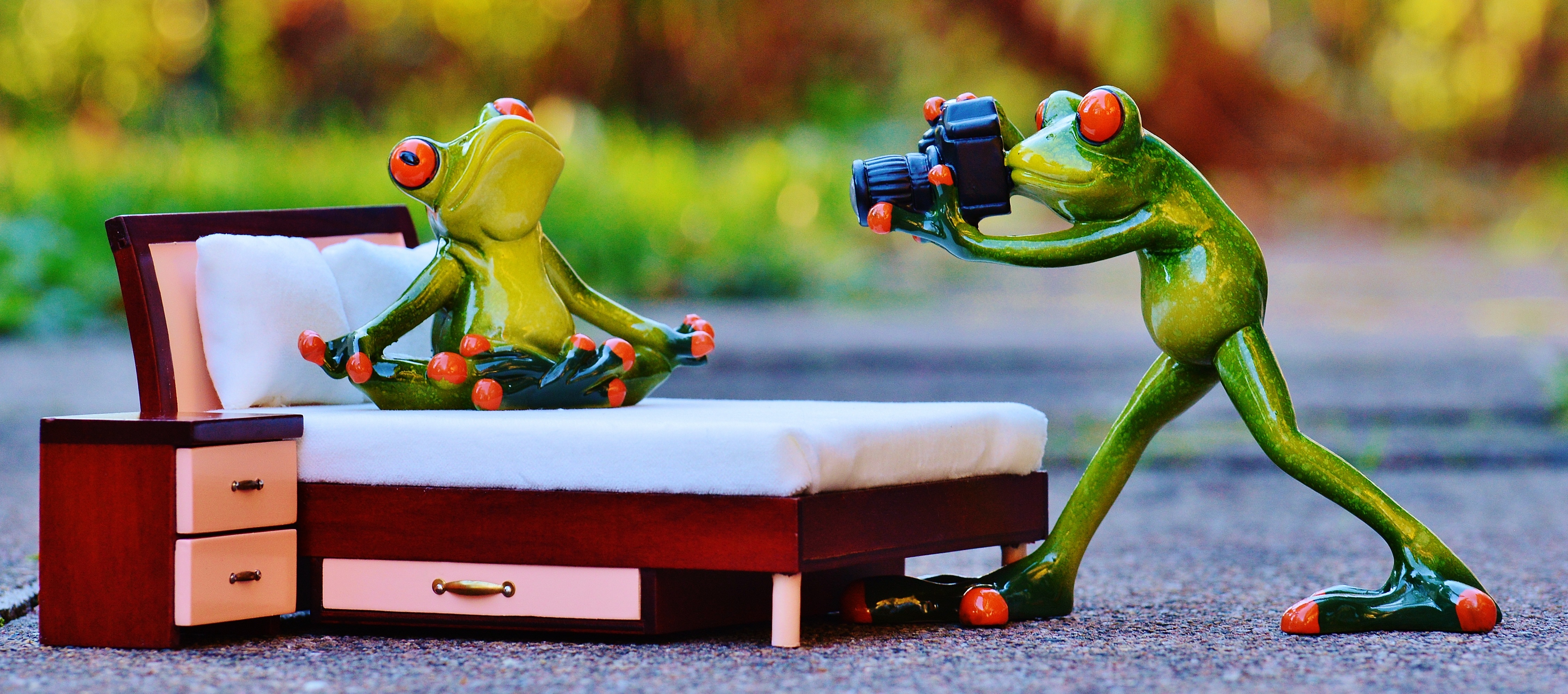 frogs, funny, close-up, figure, toy car, animal wildlife, human representation, figurine, small, 4K, focus on foreground, fun, day, photo shoot, toy, camera, HD Wallpaper