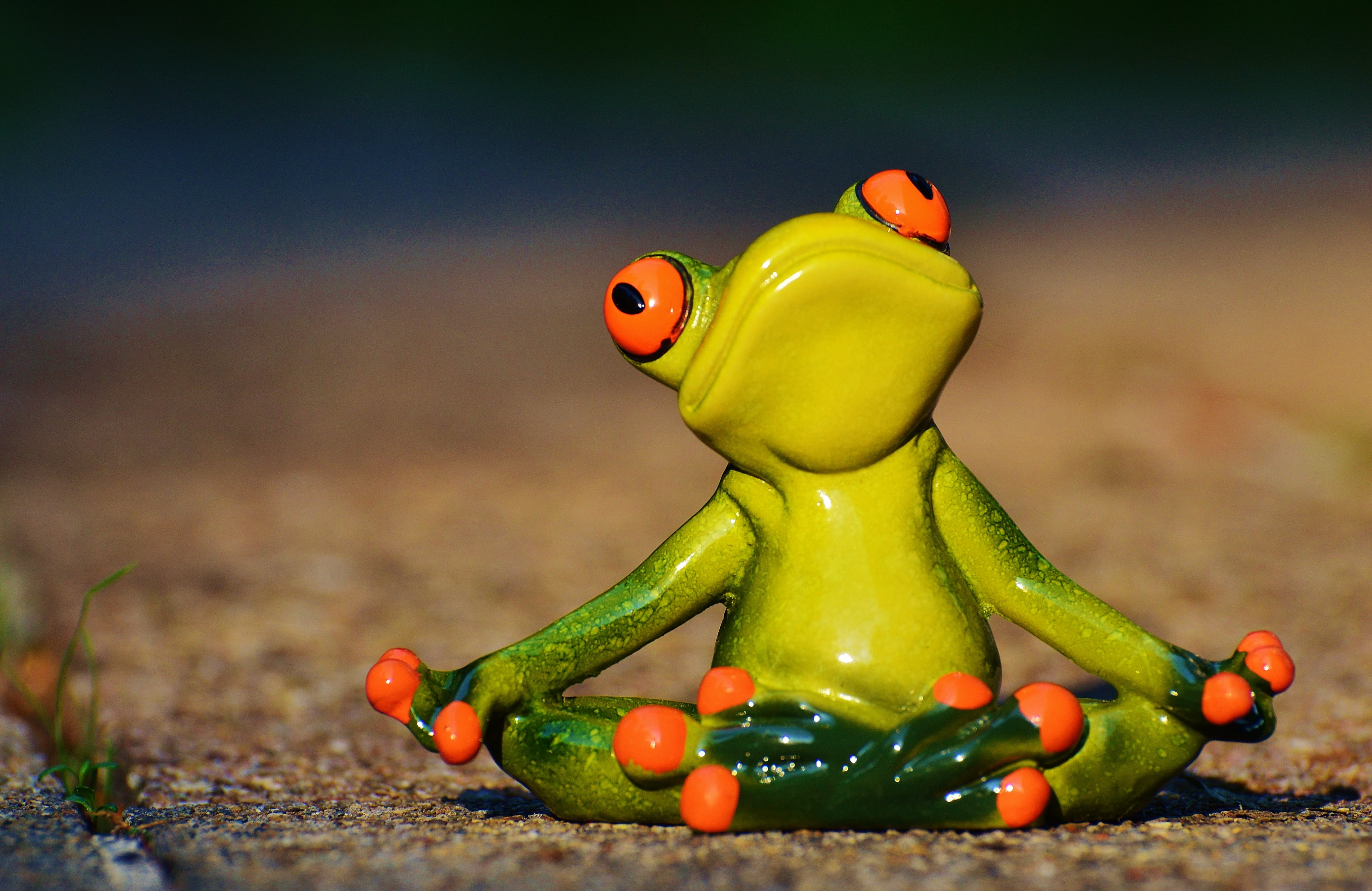funny, ceramic, small, animal, representation, toy, food and drink, figurine, 4K, photography, human representation, amphibian, focus on foreground, creativity, HD Wallpaper