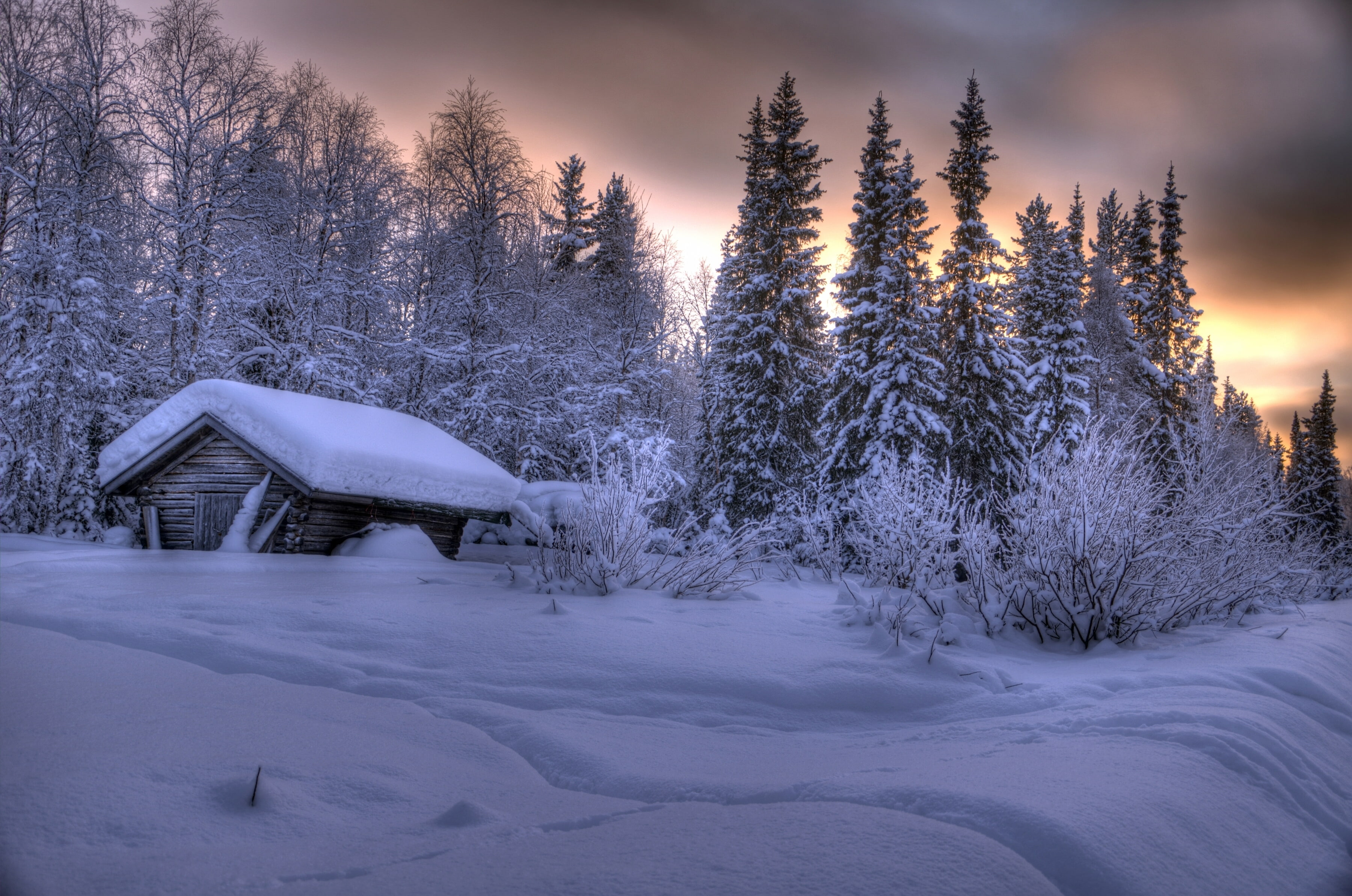 trees, 2K, hut, Finland, Lapland, winter, the snow, snow, forest, Akaslompolo, Ylläs, Äkäslompolo, HD Wallpaper