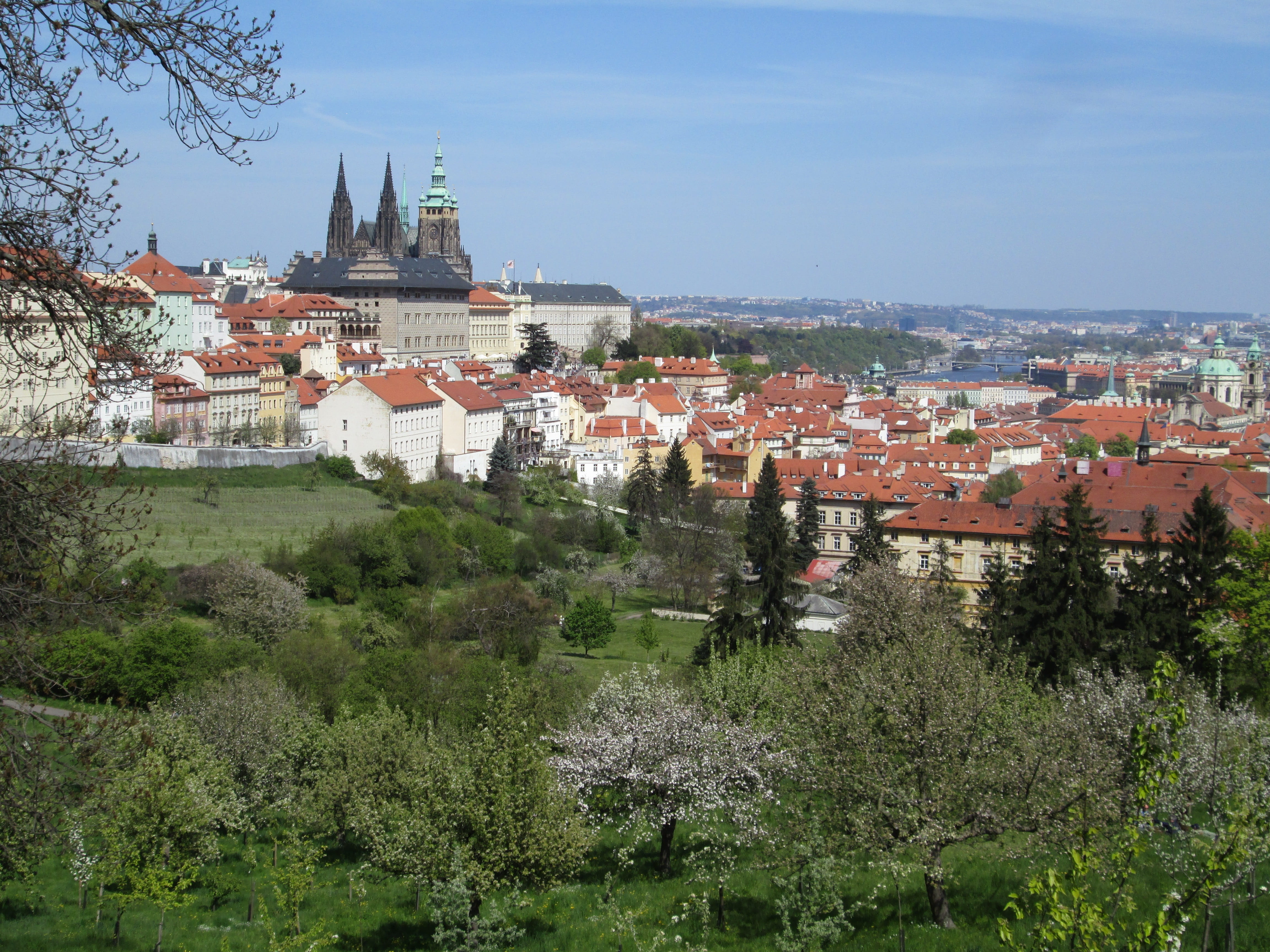day, Vista, plant, tree, Prague, town, 4K, city, architecture, petrin, travel destinations, built structure, place of worship, residential district, townscape, HD Wallpaper