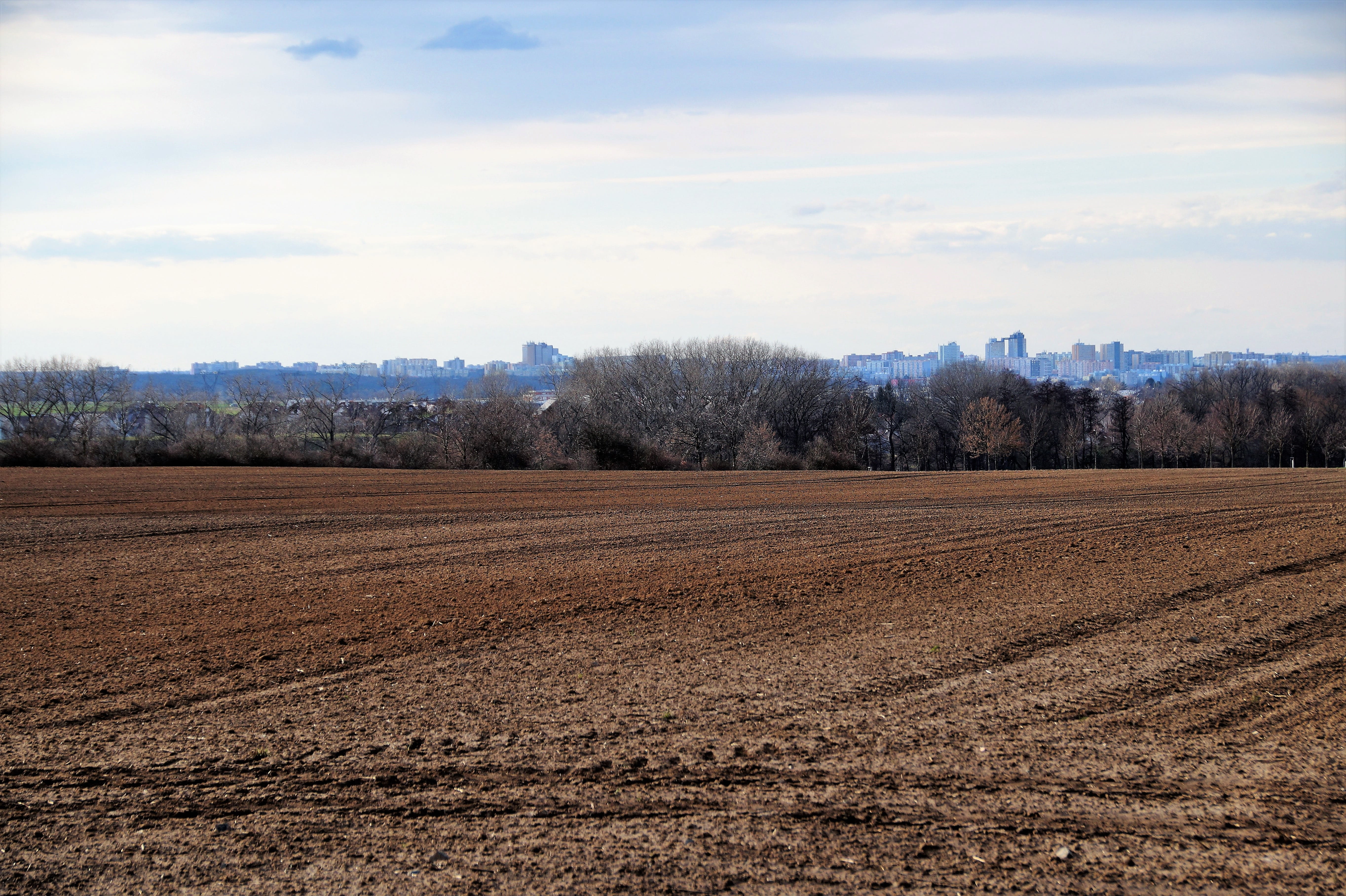scenics - nature, beauty in nature, plough, tranquility, tree, spring, land, outdoors, brown, housing estate, field, rural scene, nature, sky, neighborhood, HD Wallpaper