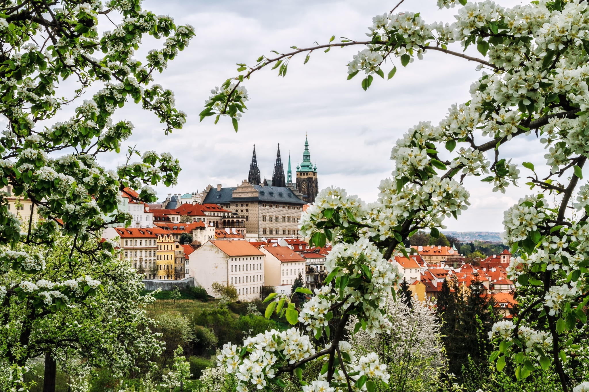 building exterior, branches, spirituality, Prague, building, architecture, religion, green color, built structure, growth, 1080P, outdoors, spring, white, HD Wallpaper
