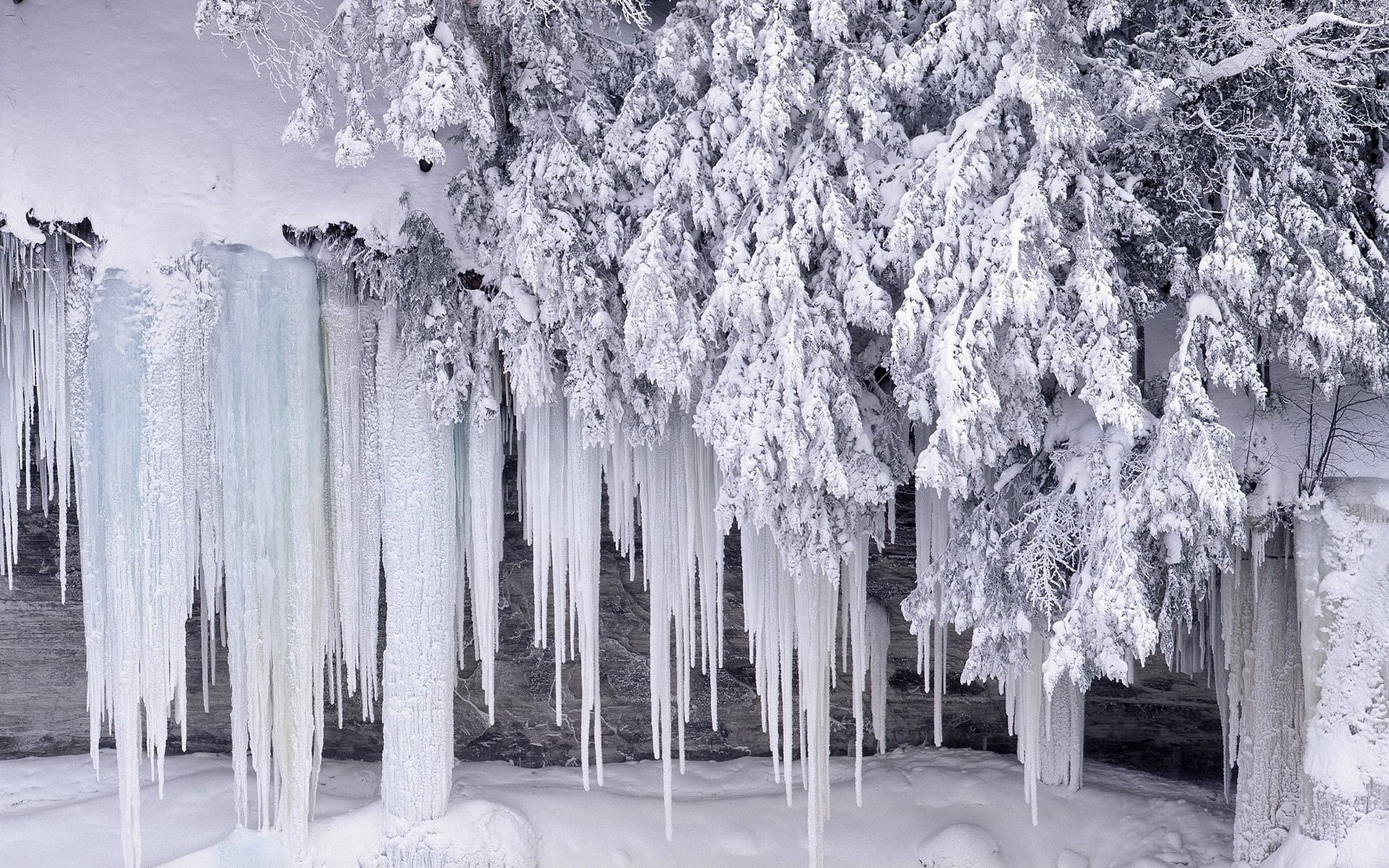 december, forest, tranquility, non-Urban Scene, cold temperature, icicles, day, snow, backgrounds, landscape, frozen, covering, no People, growth, 1080P, HD Wallpaper
