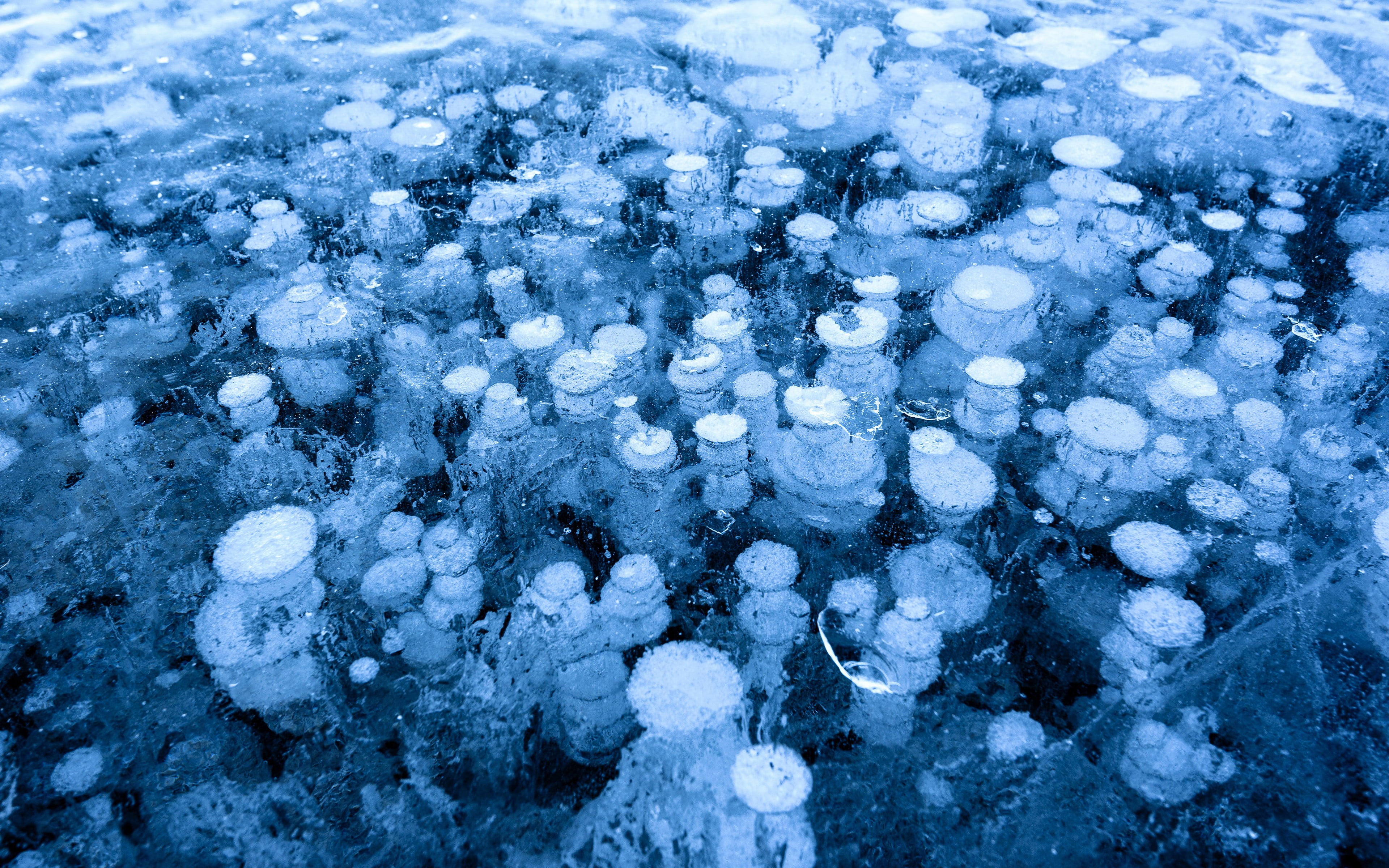 melting, white color, 4K, ice, blue, tranquility, covering, winter, backgrounds, land, no people, close-up, day, outdoors, full frame, river, high angle view, HD Wallpaper