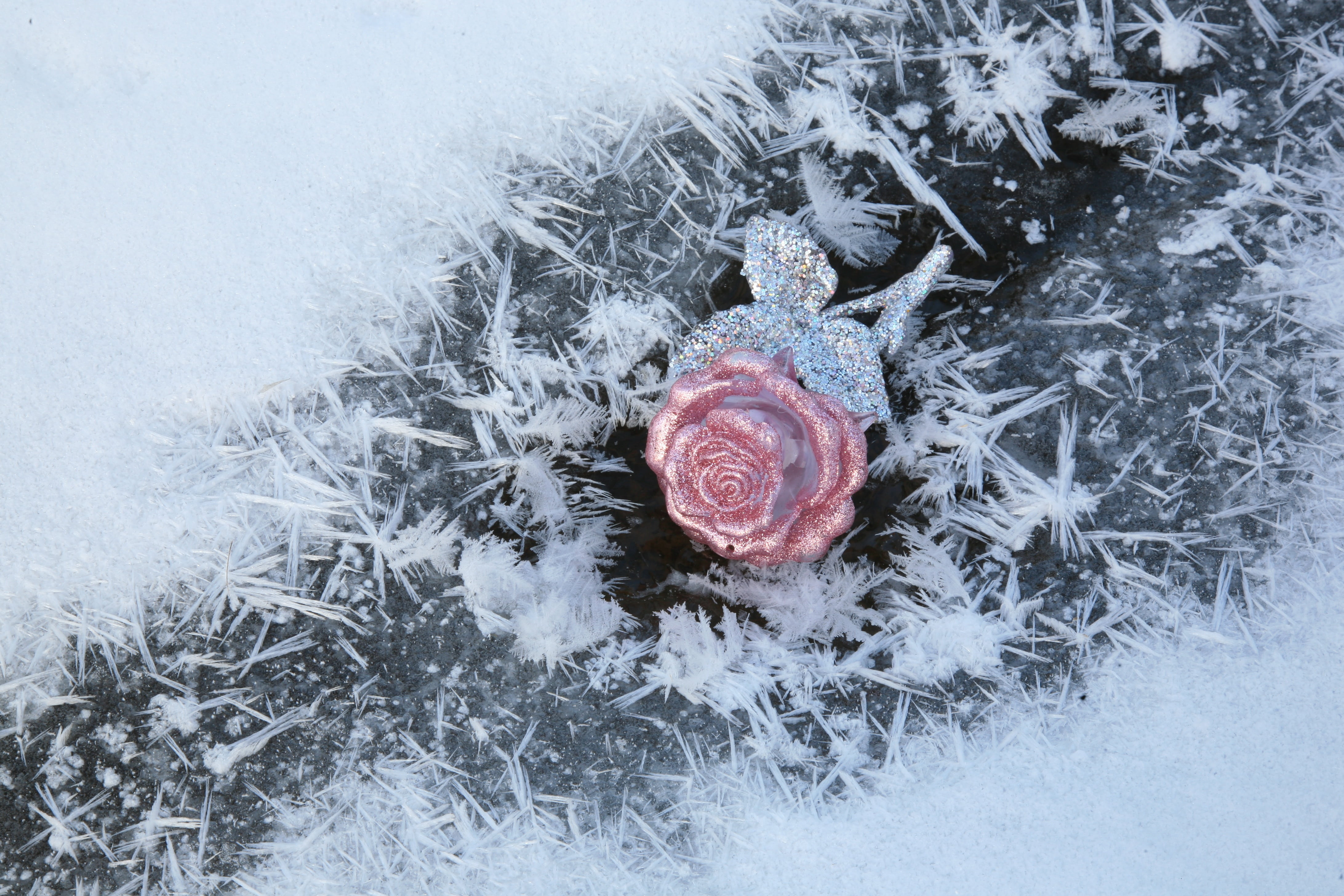 closeup, 4K, extreme weather, tranquility, close-up, snow, white color, crystal, leann, no people, frozen, white, outdoors, plant, field, day, nature, HD Wallpaper