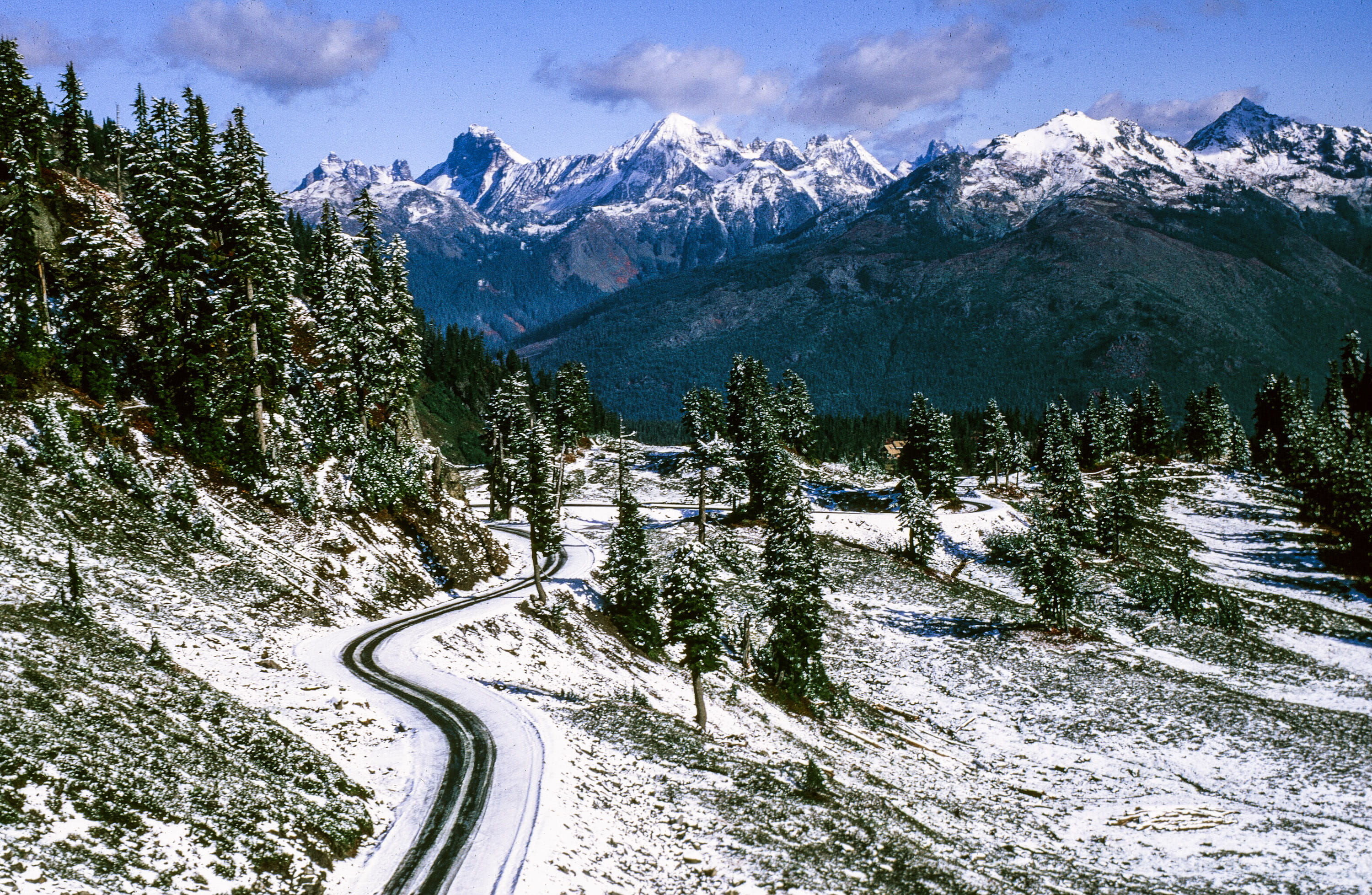 mountains, 2K, no people, glacier, outdoor, snow on trees, scenics - nature, season, frozen, pine tree, beauty in nature, cold, frost, environment, rock, HD Wallpaper