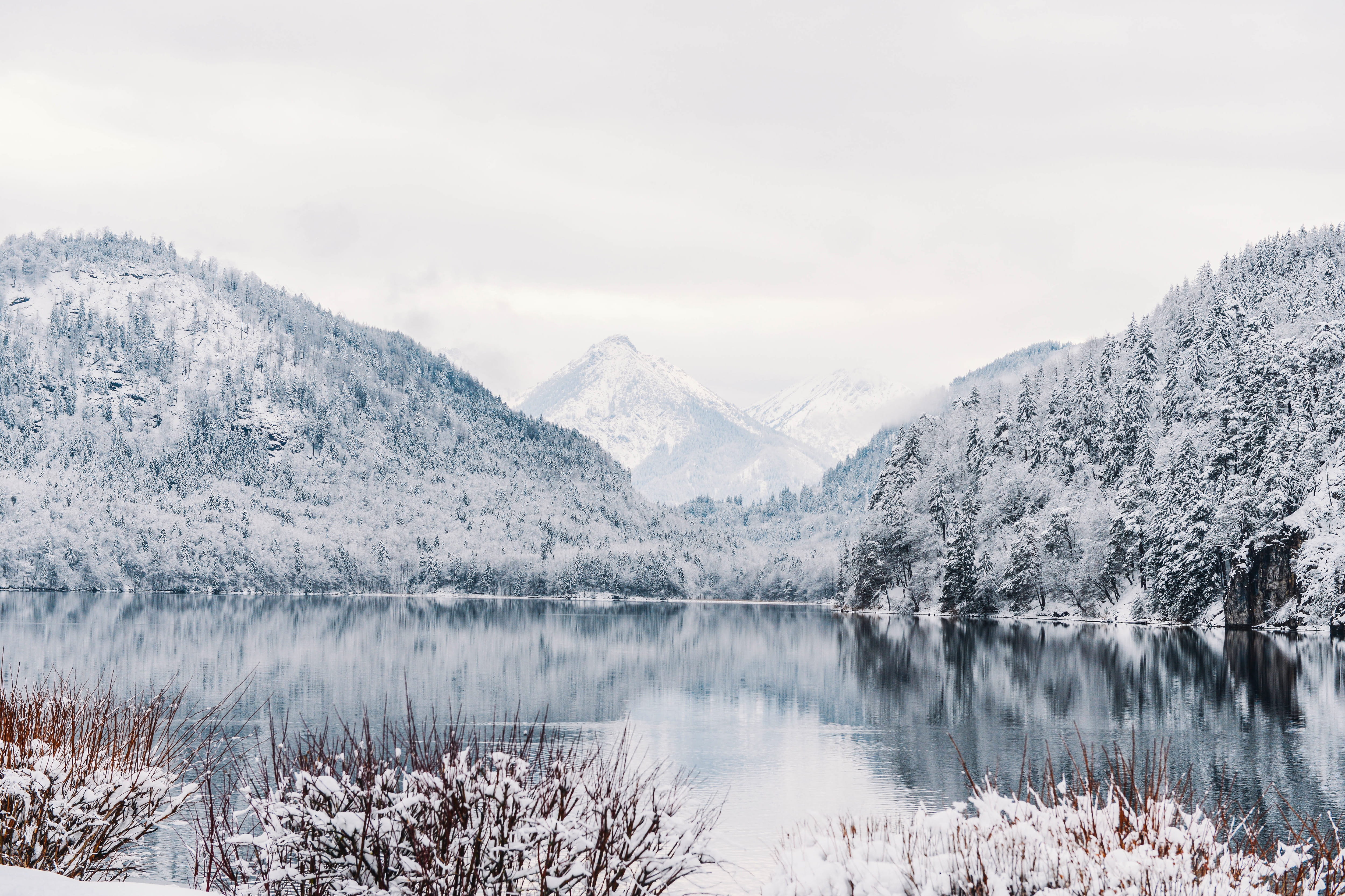 forest, mountain, tranquility, mountains, fog, scenics, pine woodland, frozen, sky, winter, ice, outdoors, environment, tranquil Scene, season, beauty In Nature, HD Wallpaper