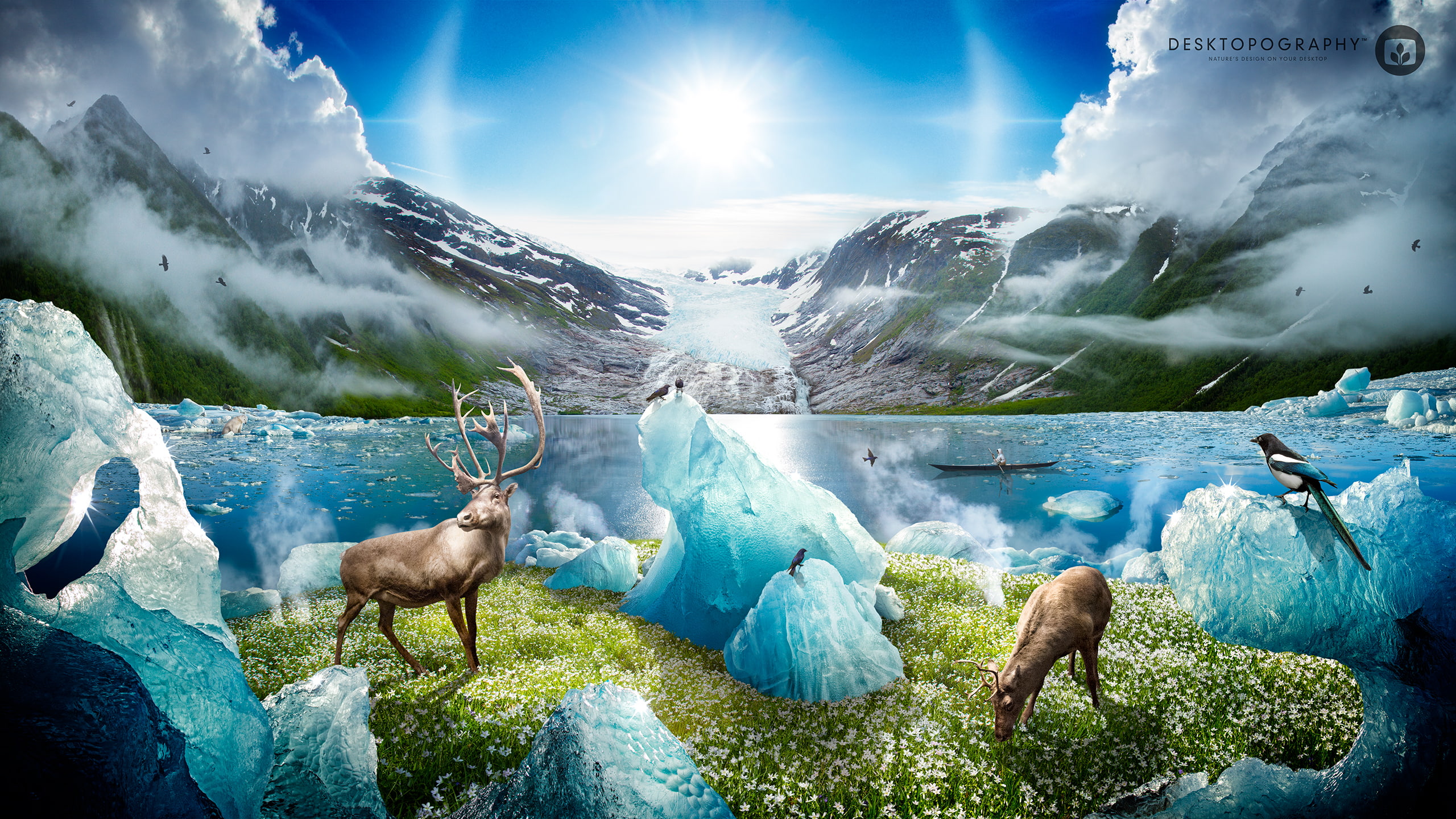 Polar, Caps, water, day, Melting, animal themes, scenics - nature, nature, sunlight, environment, 2K, Ice, winter, lens flare, beauty in nature, mountain, HD Wallpaper