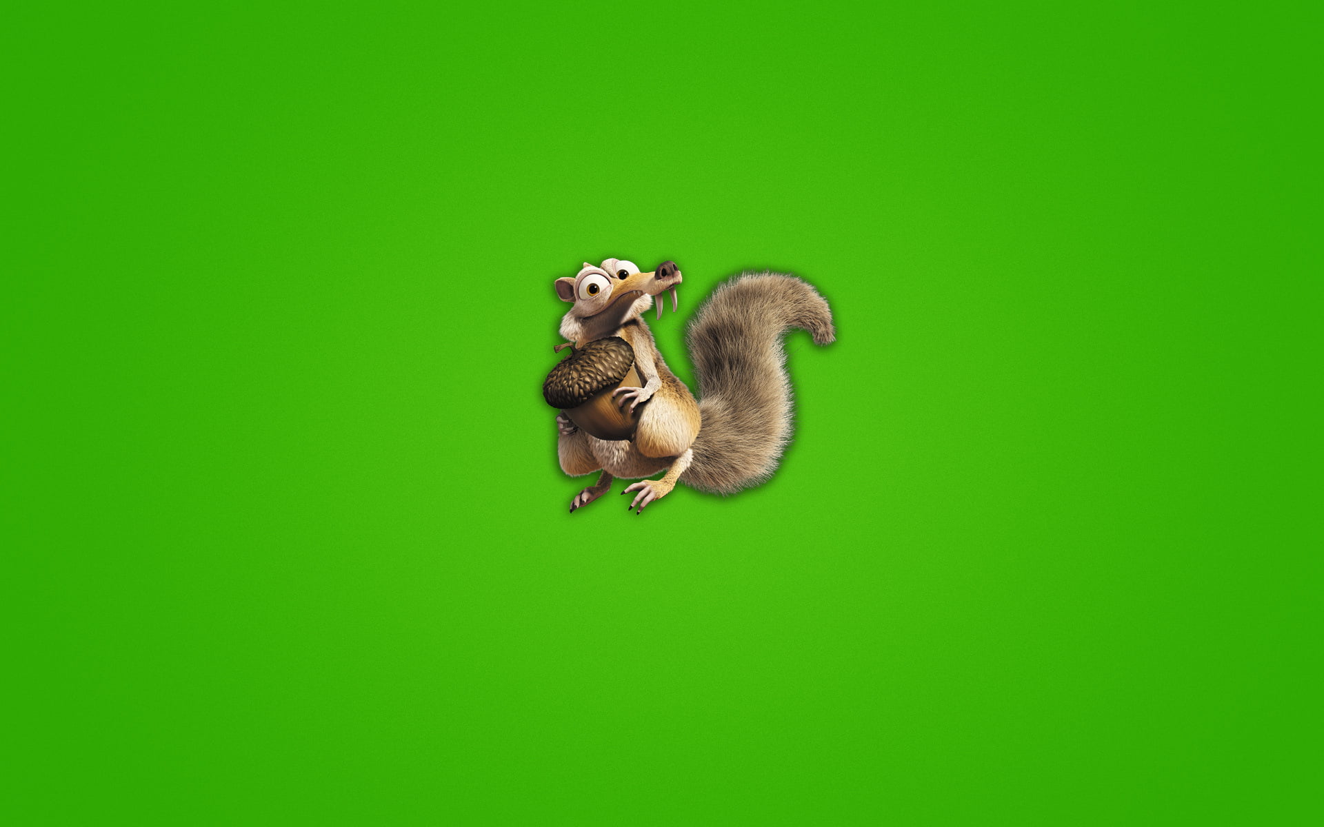 studio shot, animal wildlife, 1080P, minimalism, representation, copy space, ice age, young animal, walnut, vertebrate, no people, protein, scrat, animal, HD Wallpaper