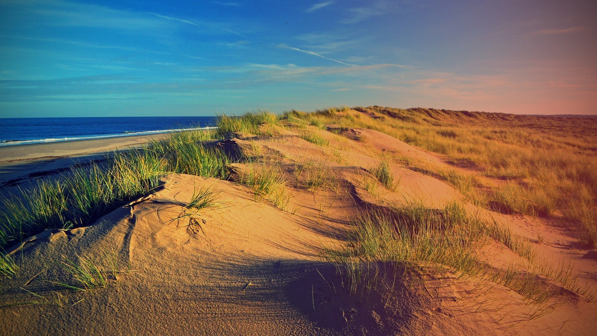 dune, beach, nature, 1080P, sea, grass, HD Wallpaper