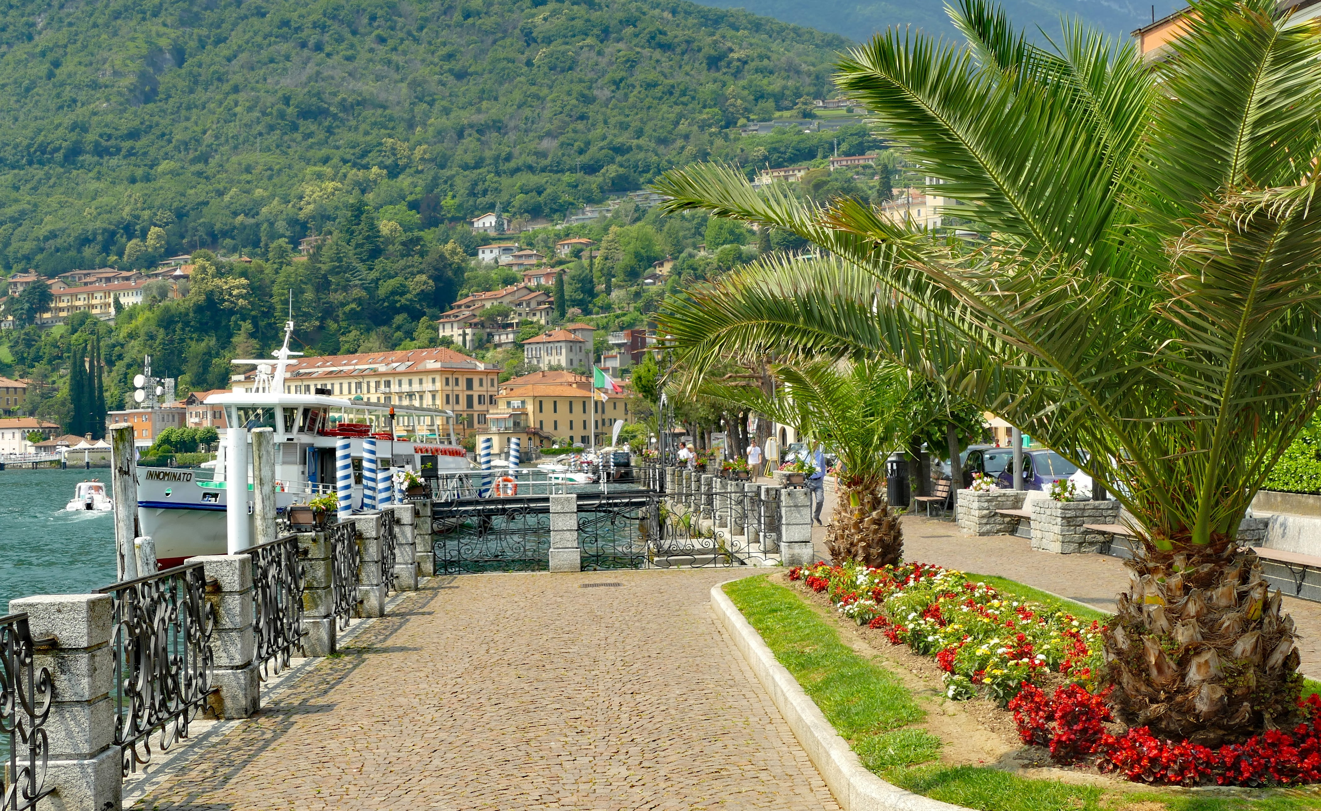 menaggio, green color, mountain, growth, outdoors, day, 4K, tree, promenade, bank, beauty in nature, lake como, sea, plant, built structure, vacations, HD Wallpaper