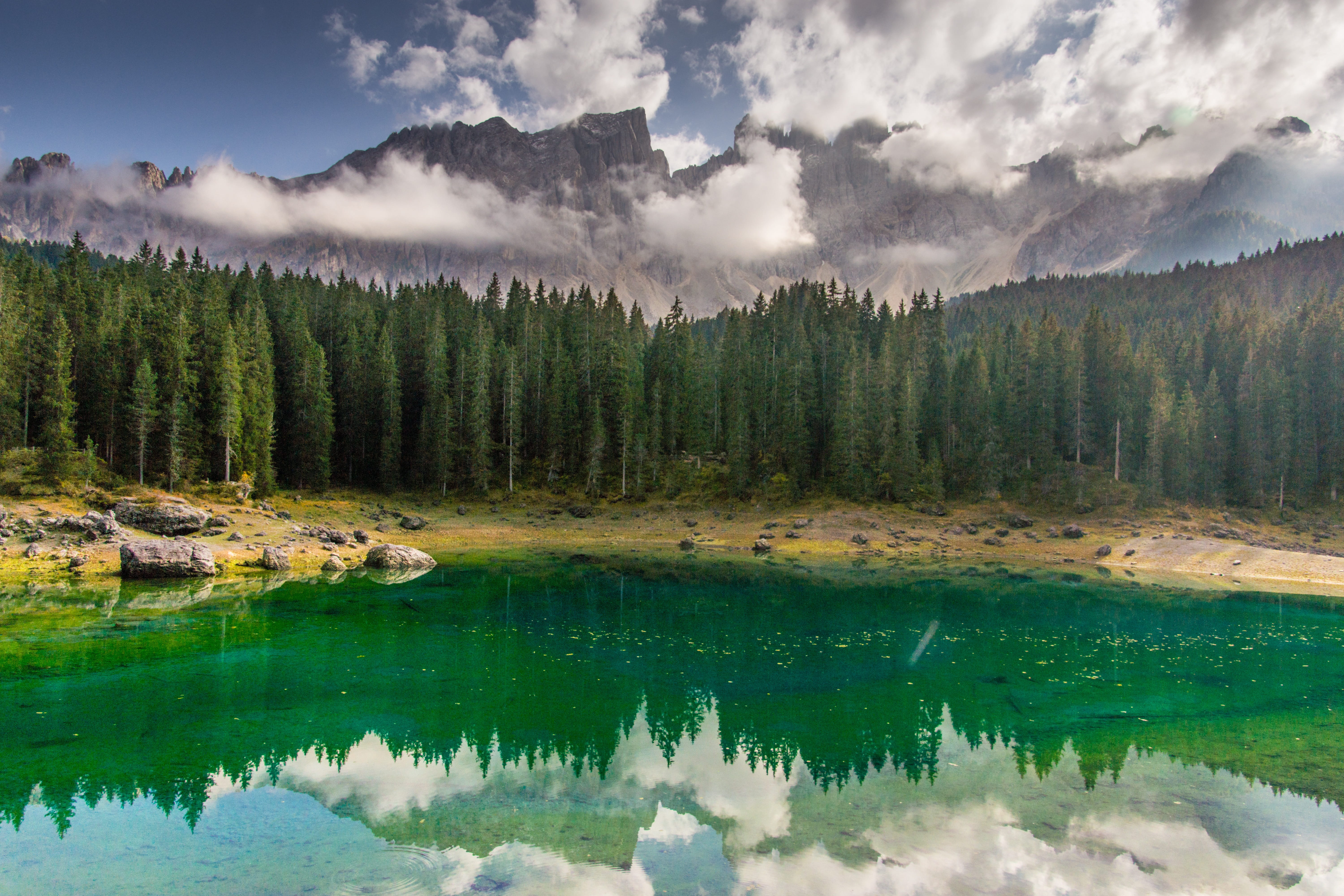 coniferous tree, clouds, sky, pine woodland, scenics - nature, tranquility, tree, alpine, water, land, reflection, beauty in nature, mountains, tranquil scene, HD Wallpaper