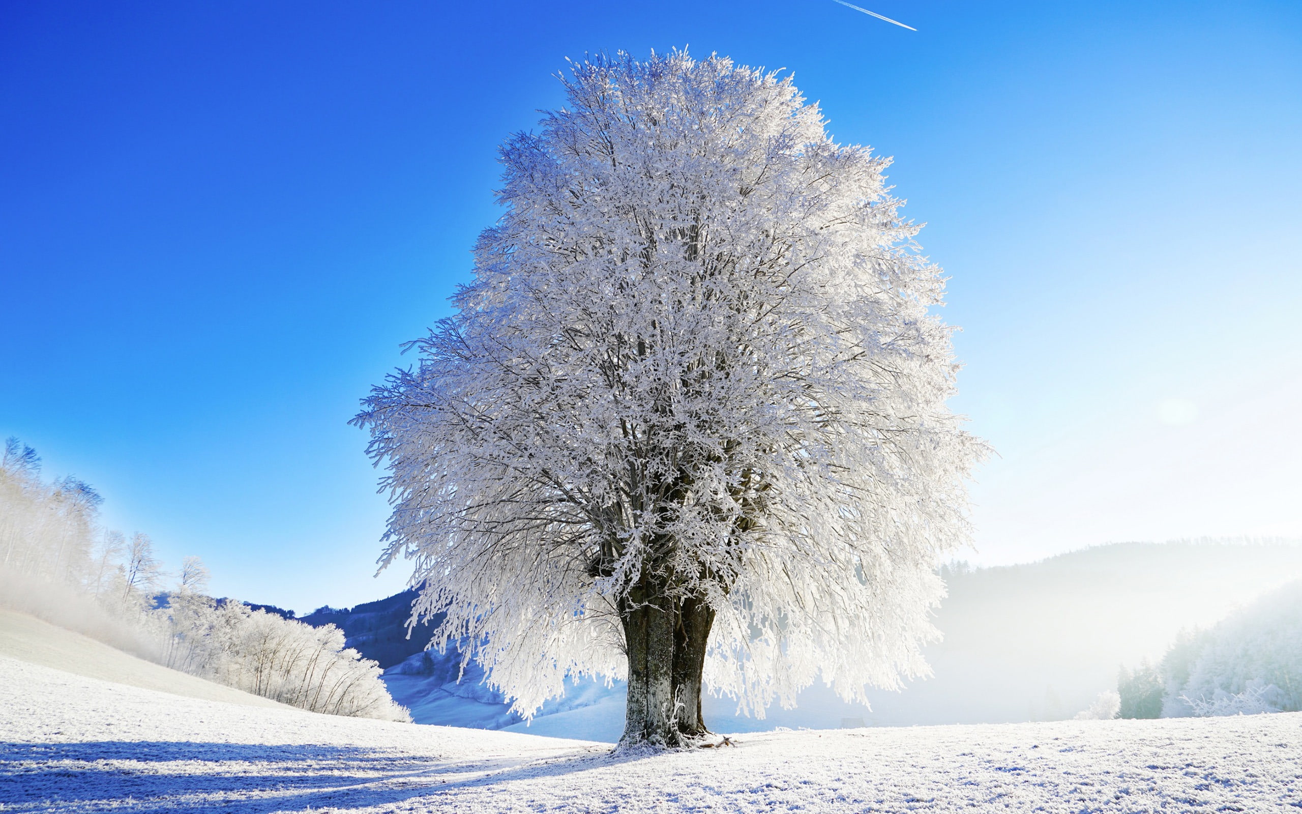tranquil scene, hd, environment, 2K, day, clear sky, frozen, no people, tree, snow, plant, outdoors, sky, land, nature, snowcapped mountain, HD Wallpaper