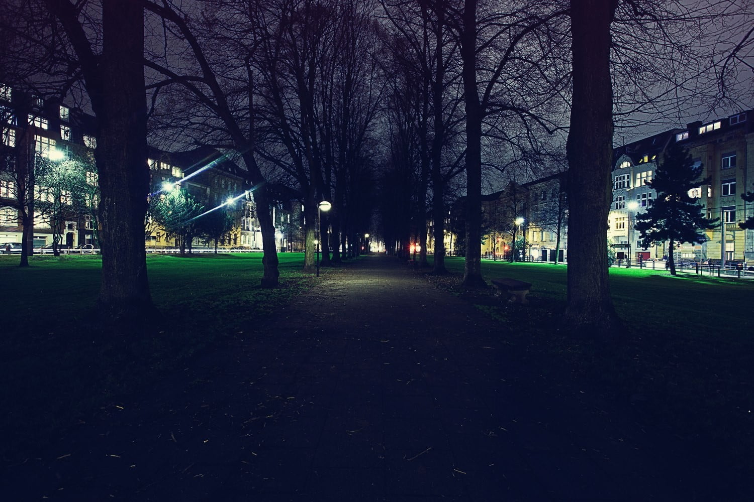 plant, night, urban, cityscape, park, treelined, footpath, street, land, growth, outdoors, nature, park - man made space, illuminated, city, bare, trees, HD Wallpaper