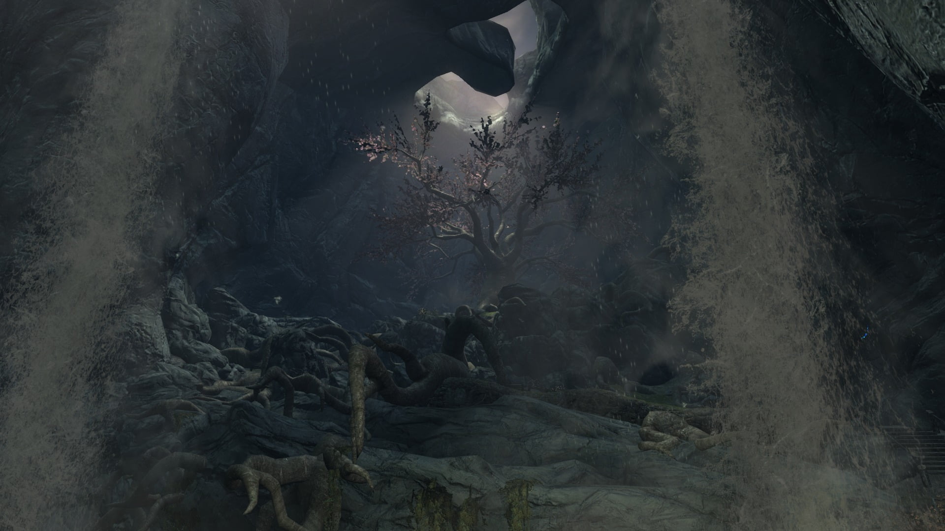  branch, outdoors, plant, trunk, bare, water, tranquility, tree trunk, day, beauty in nature, land, nature, no people, The Elder Scrolls V: Skyrim, HD Wallpaper