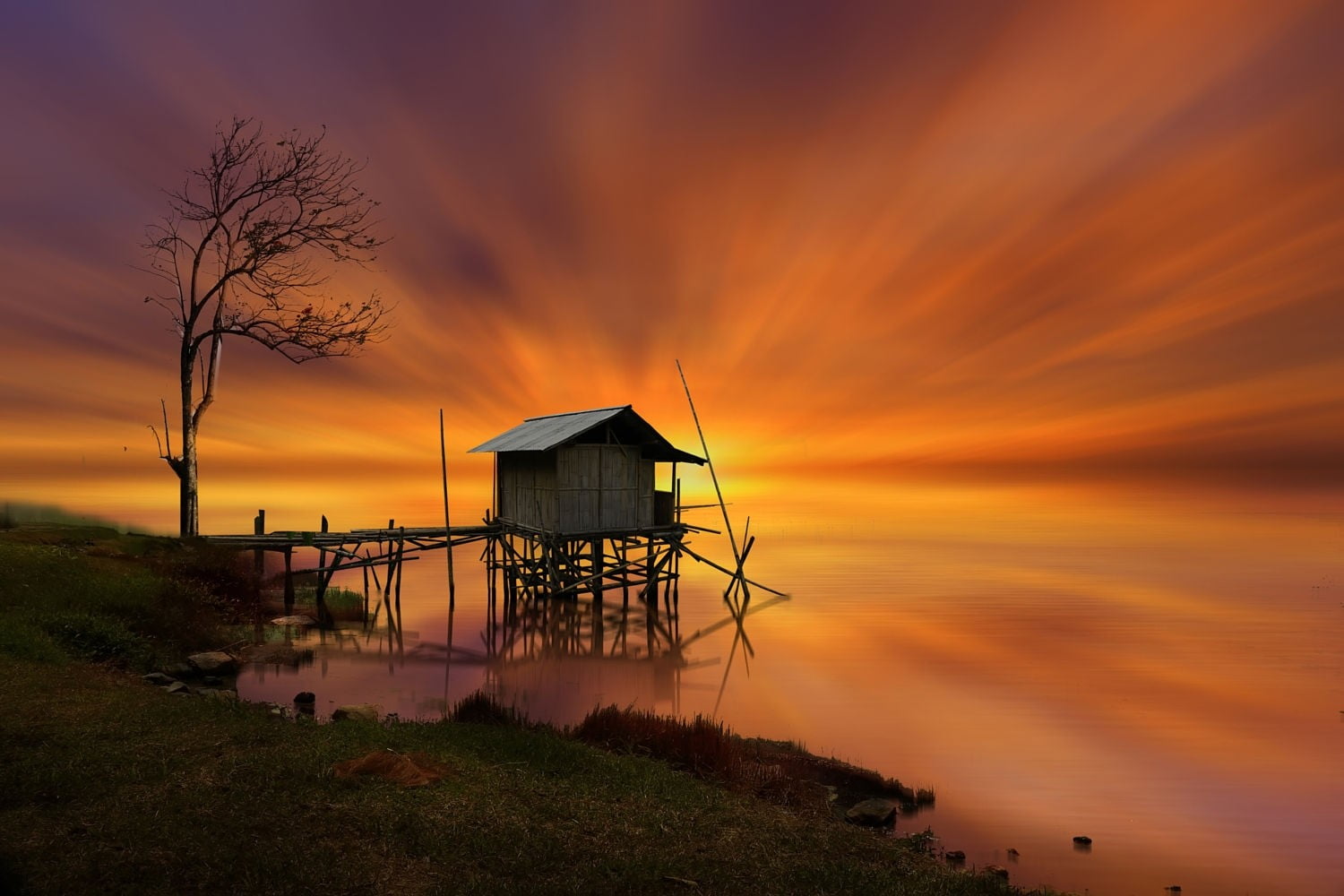 tranquil scene, sun rays, bare, sky, plant, tranquility, tree, trees, water, landscape, horizon over water, outdoors, black, no people, beach, sunset, architecture, HD Wallpaper