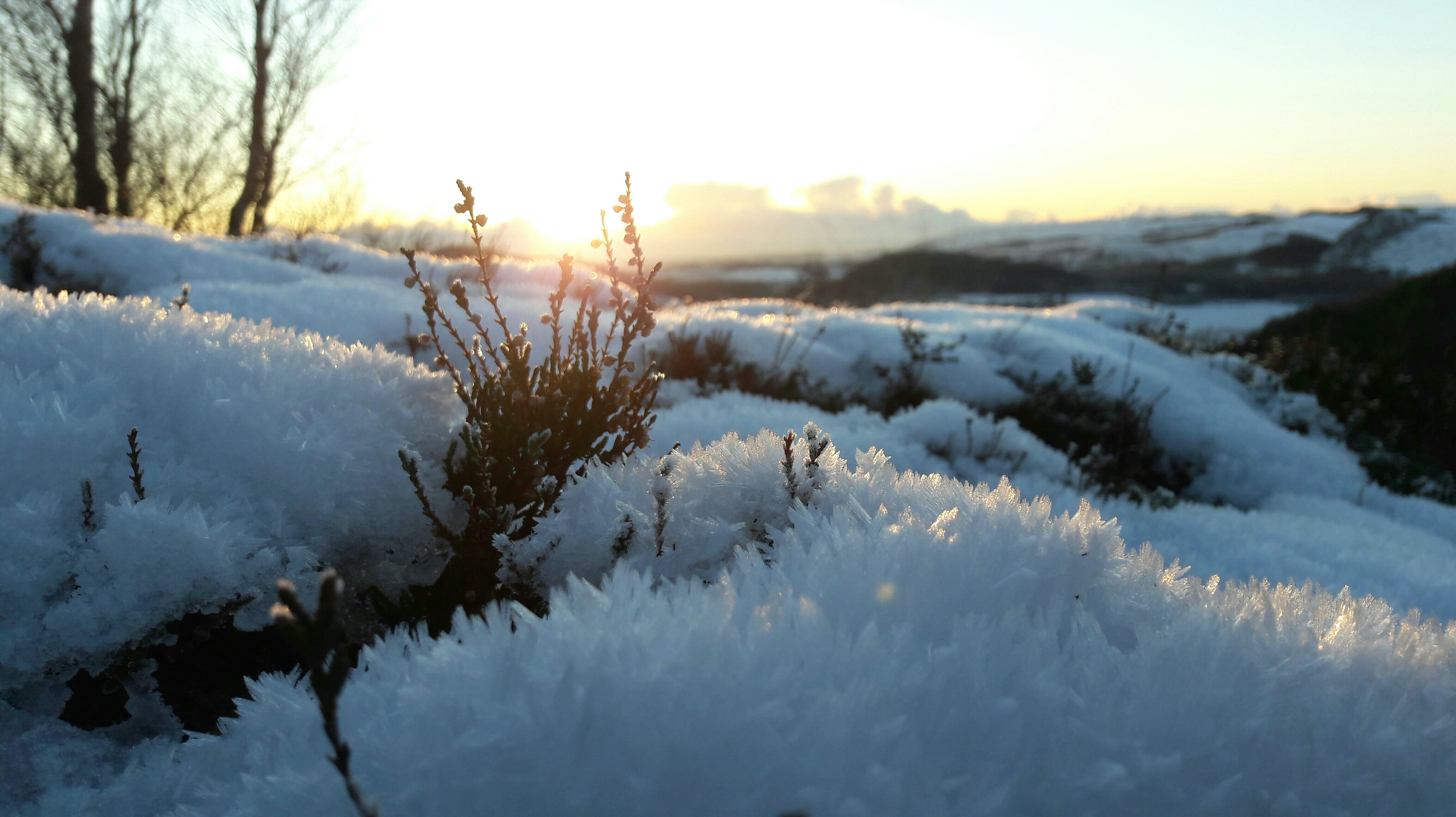 environment, cold temperature, snow, 4K, beauty in nature, bare, focus on foreground, sunset, white color, covering, nature, outdoors, scenics - nature, HD Wallpaper