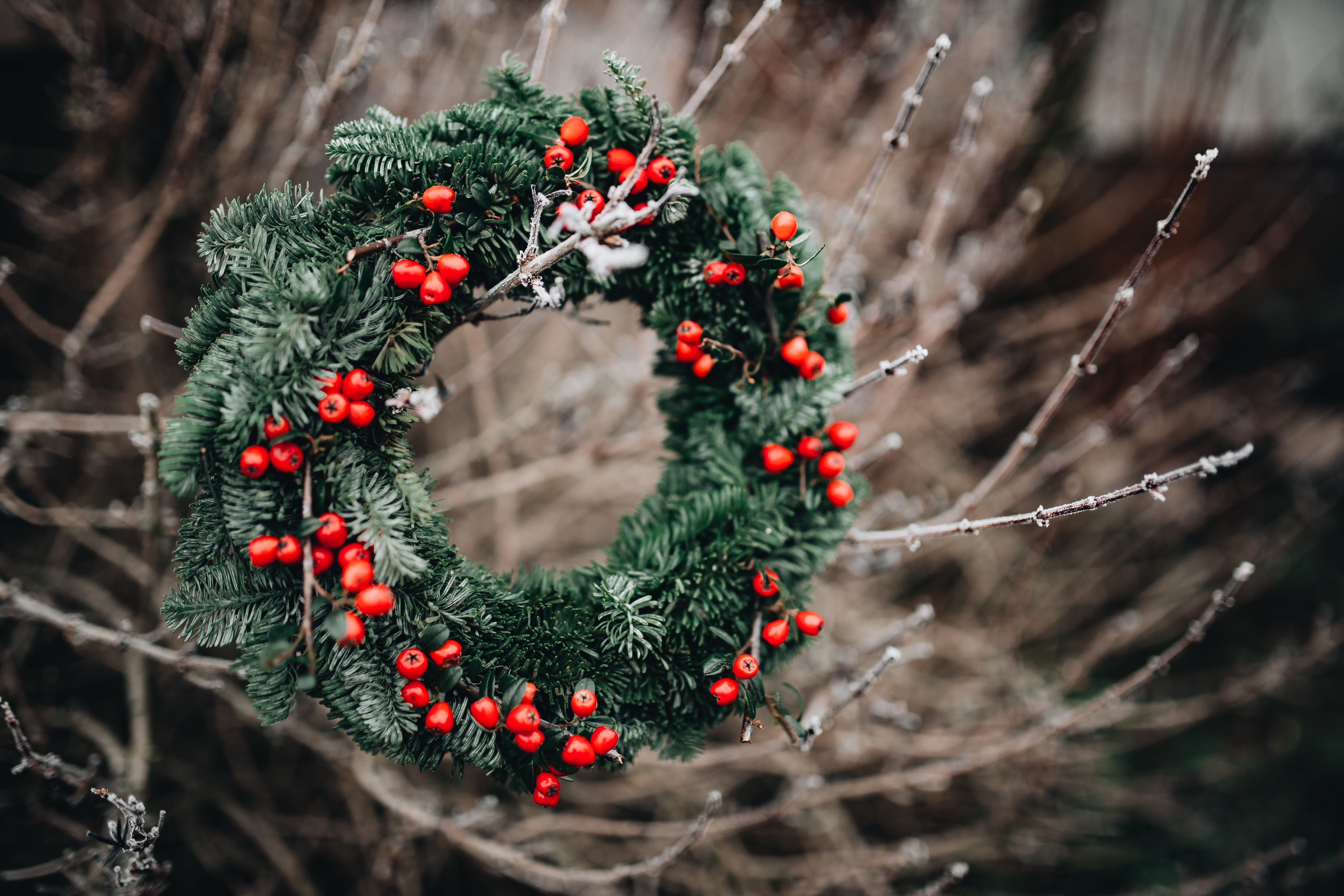 green color, wreath, plant, fir tree, nature, christmas, food and drink, advent, red, decoration, merry, christmas decoration, no people, beauty in nature, HD Wallpaper