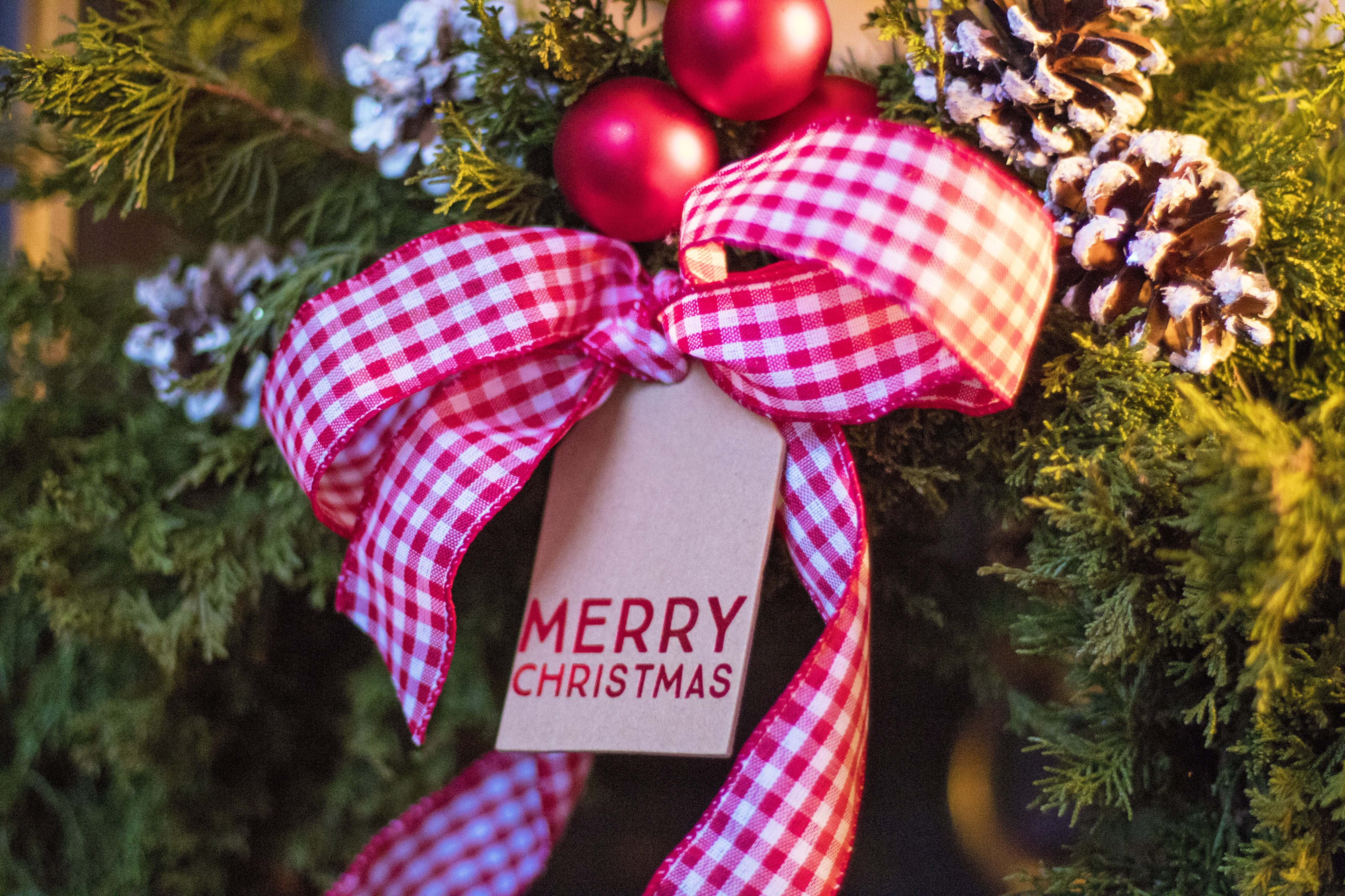 red, holiday, christmas tree, decoration, white, tree, celebration, green, outdoors, nature, holding, christmas, christmas ornament, text, midsection, checked pattern, HD Wallpaper