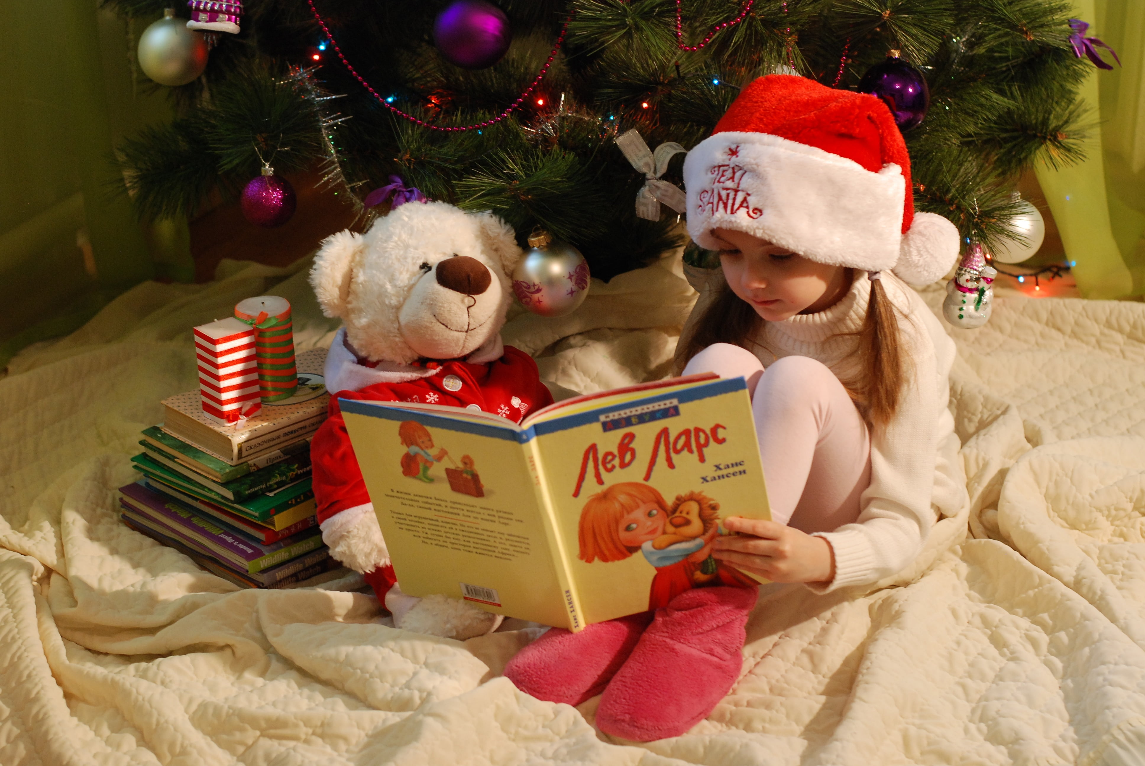 reading, christmas decoration, white, children only, celebration, santa hat, christmas decorations, 4K, one person, tree, new years eve, toy, jewelry, HD Wallpaper