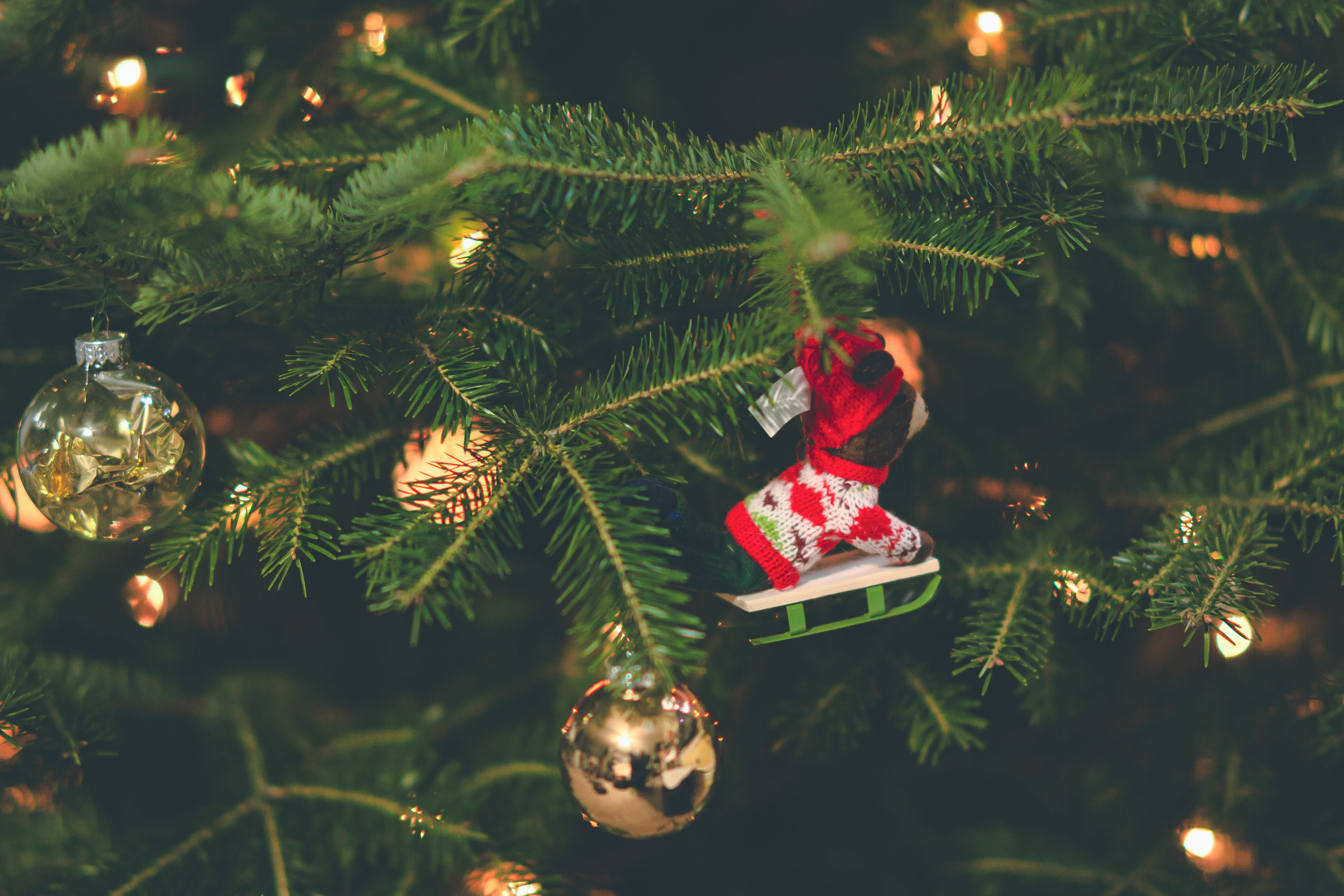 fir, christmas background, Christmas ornaments, christmas tree, evergreen, illuminated, celebration, branch, white, plant, photography, christmas ornament, HD Wallpaper