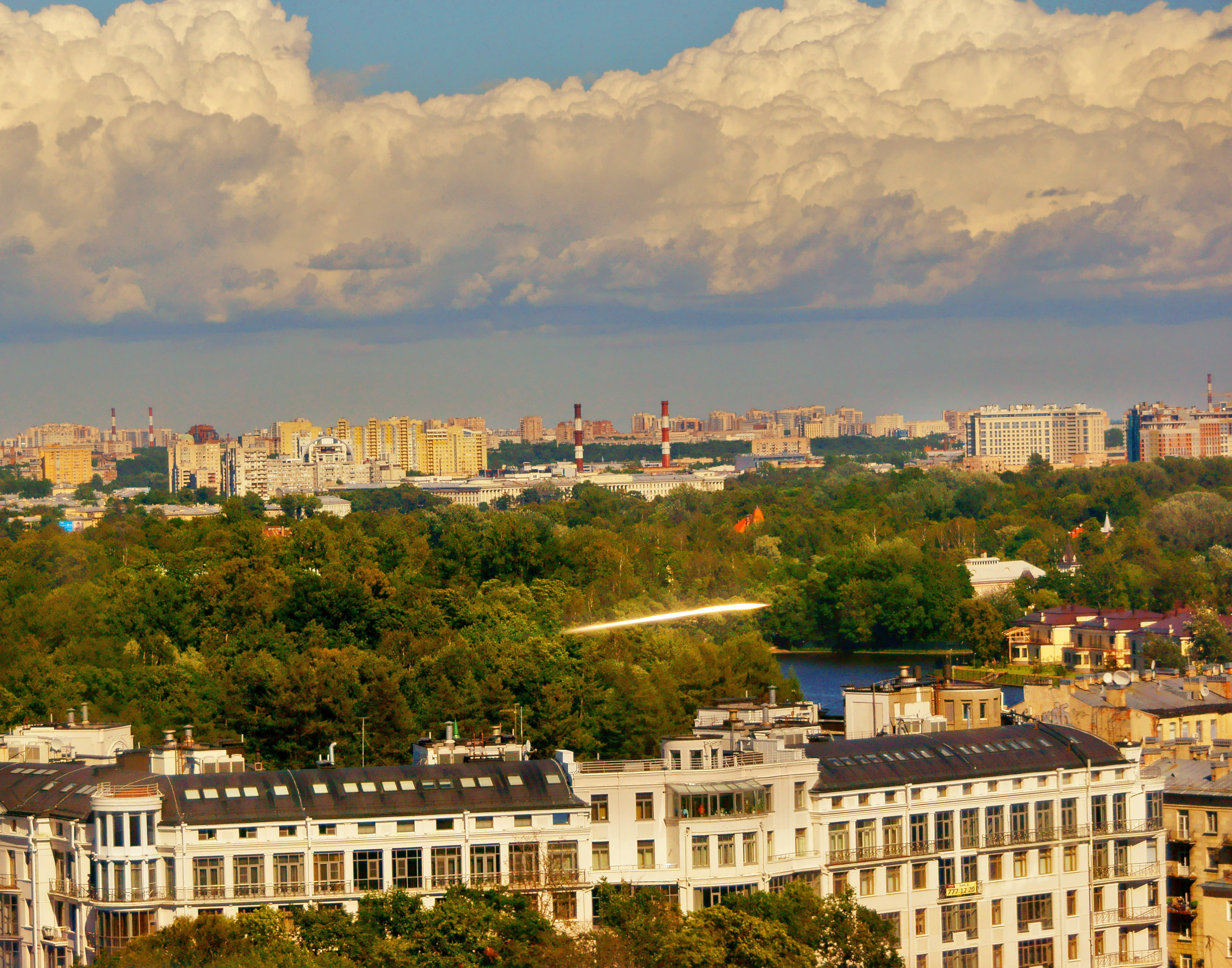 tree, building, history, nature, plant, sky, building exterior, no people, the past, city, roof, skyscraper, apartment, trees, summer, clouds, glass, blue, HD Wallpaper