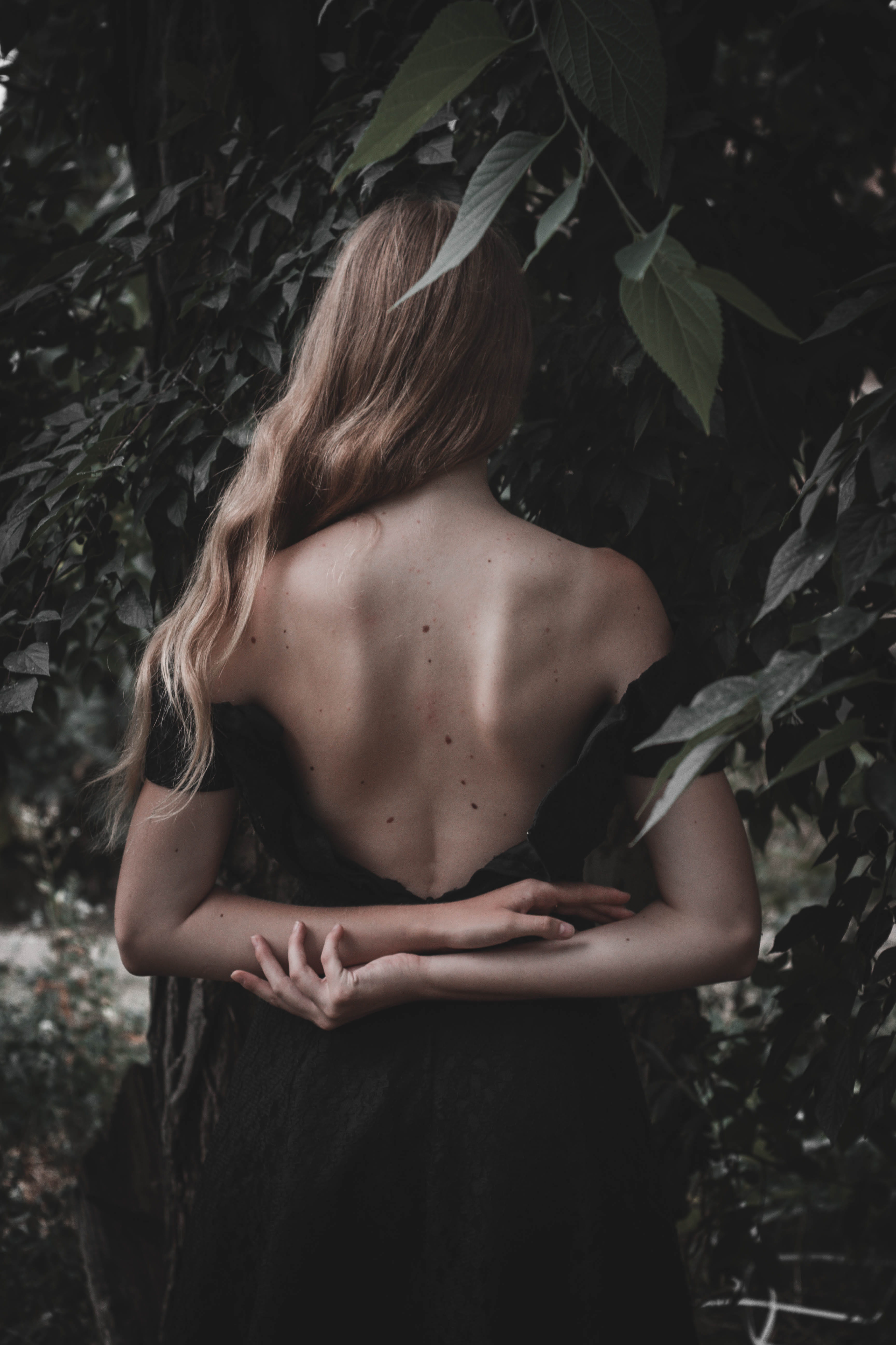 arms, one person, lifestyles, dress, model, tree, standing, woman, plant, 5K, nacked back, leafed, wood, front, adult, hairstyle, leisure activity, three quarter length, Phone HD Wallpaper