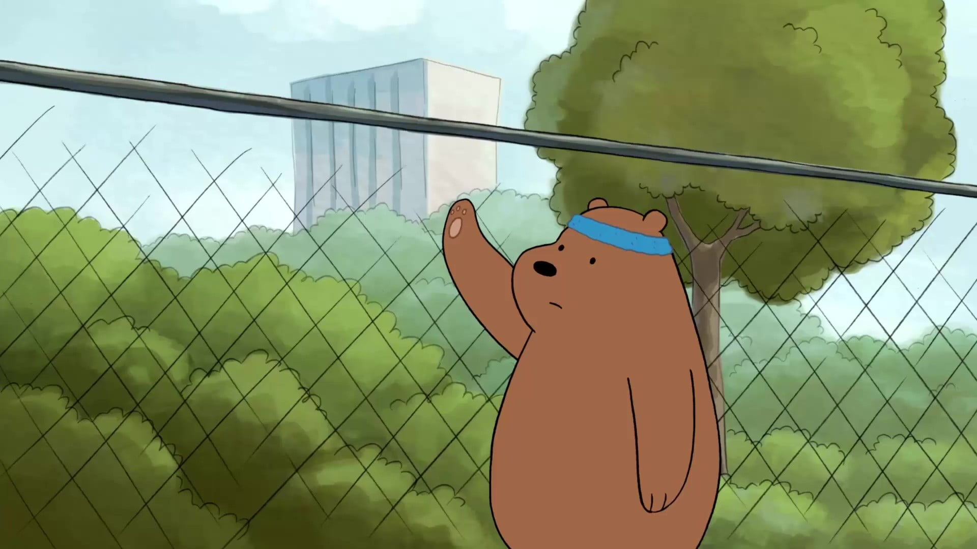 human representation, protection, Capture, boundary, sunlight, WeBareBears, 1080P, no people, focus on foreground, barrier, close-up, security, chainlink fence, HD Wallpaper