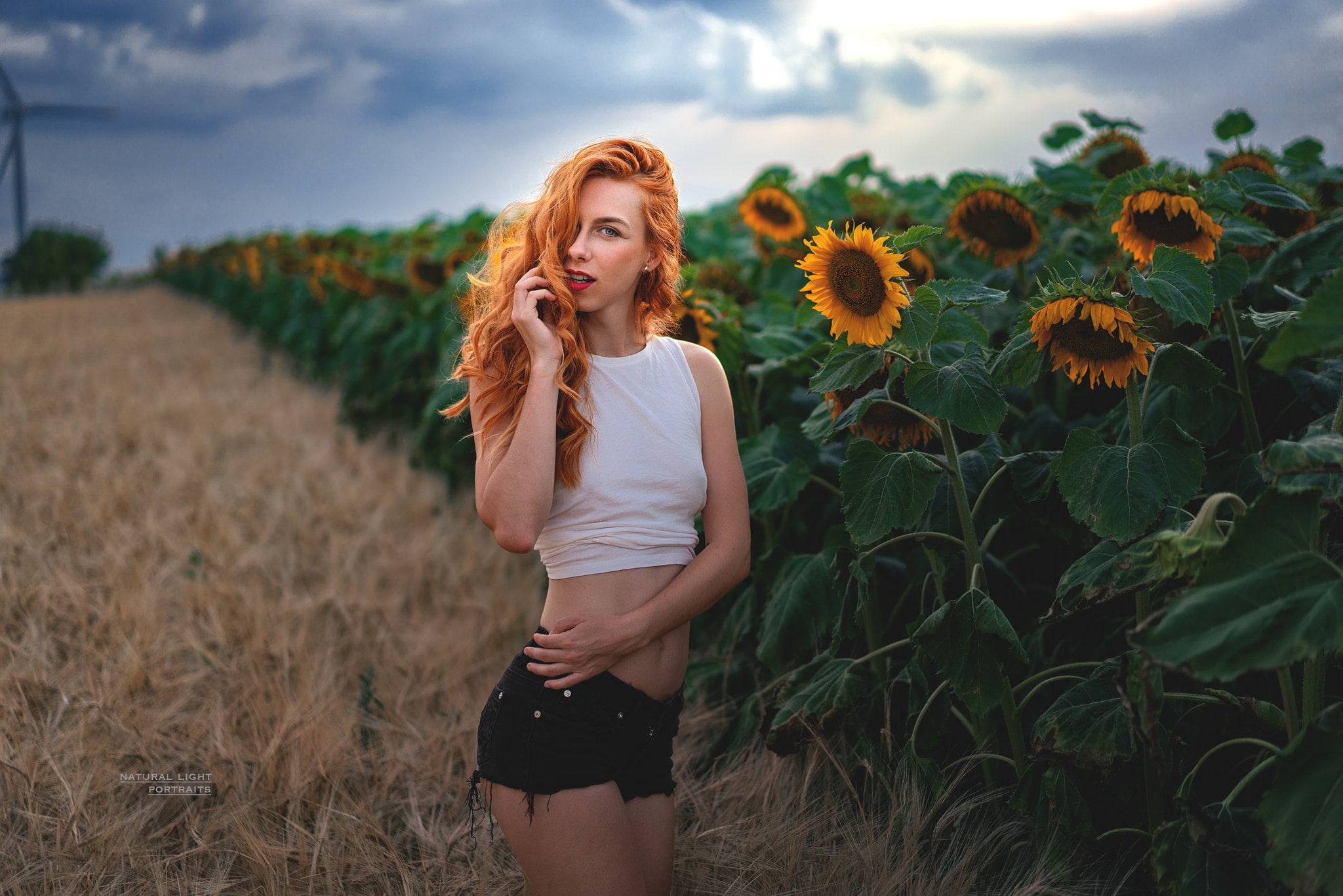 sunflowers, young women, plant, beautiful woman, nature, beauty in nature, field, red lipstick, land, three quarter length, Robert Chrenka, women, outdoors, HD Wallpaper