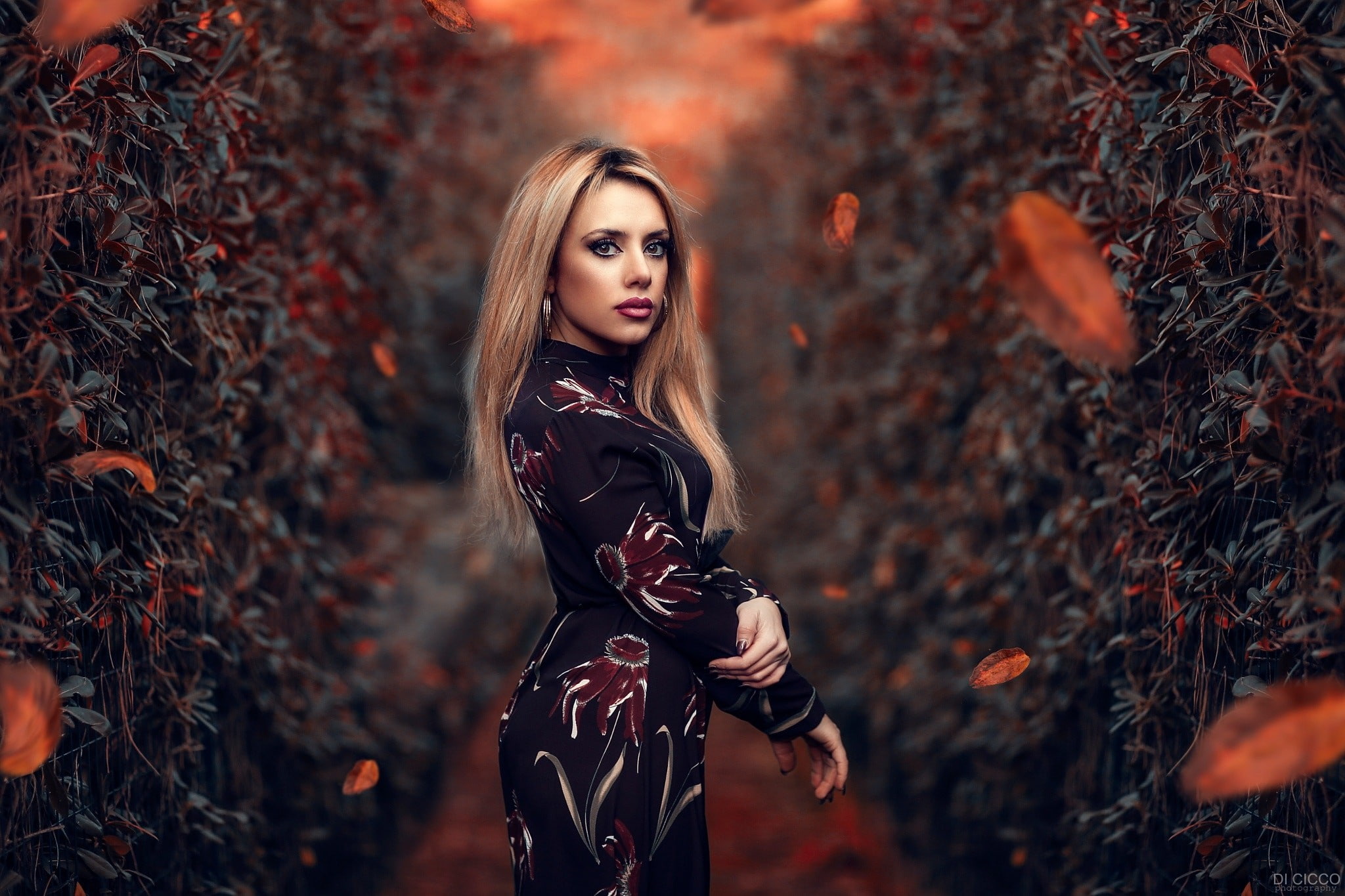 hairstyle, long hair, nature, autumn, adult, young adult, land, dress, forest, blonde, beautiful woman, Alessandro Di Cicco, women, portrait, beauty, 1080P, HD Wallpaper